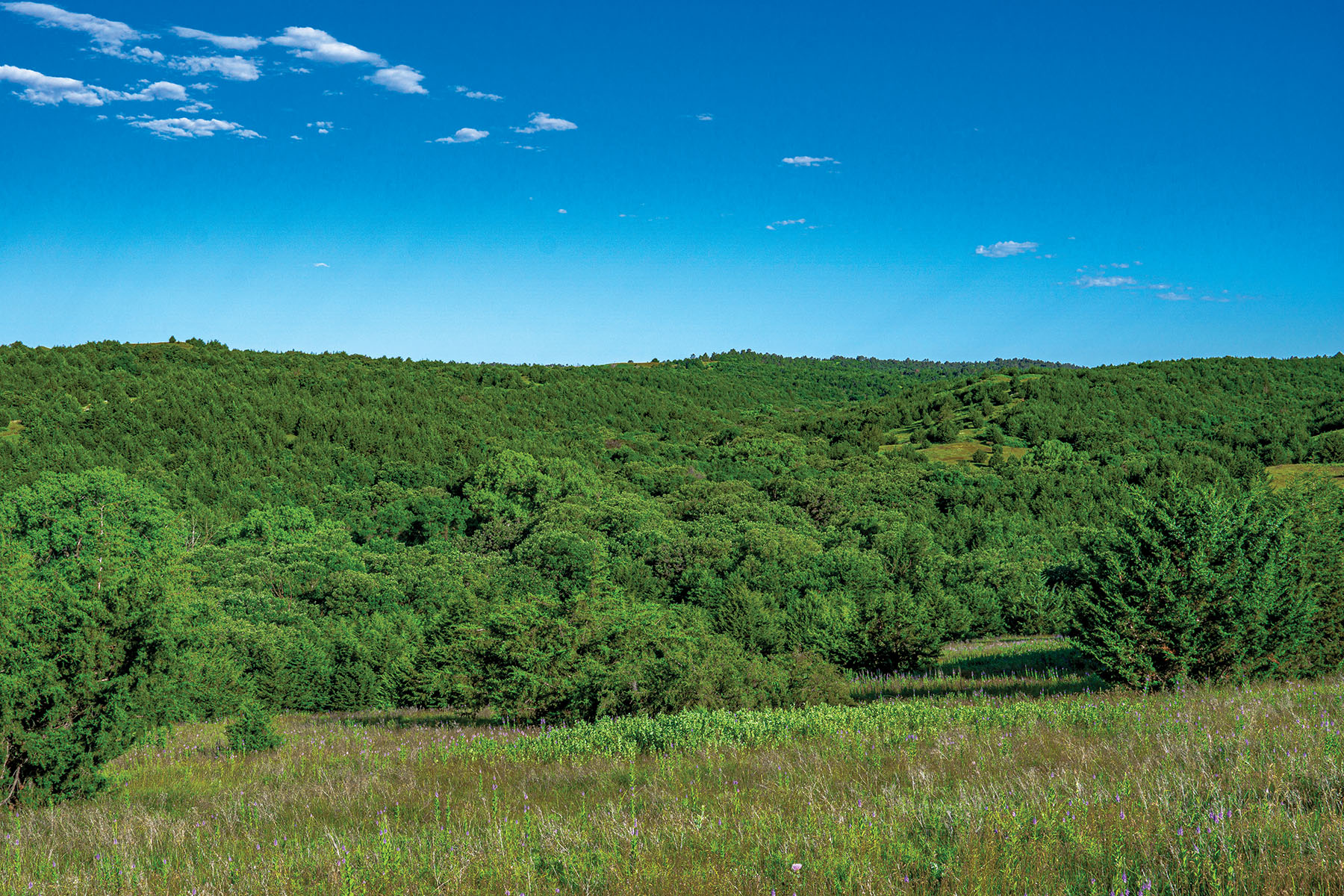 Arrowsmith Niobrara River Ranch property picture 71 of 120