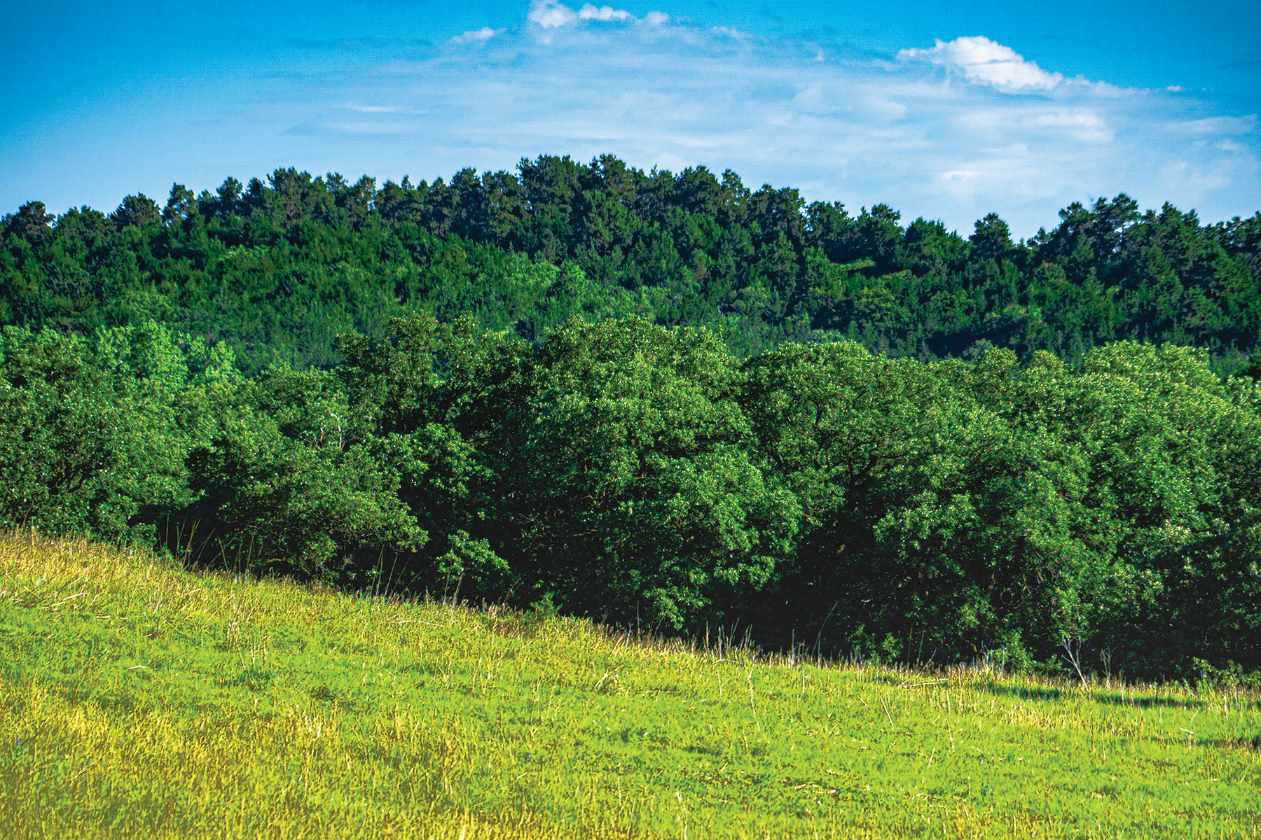 Arrowsmith Niobrara River Ranch property picture 78 of 120