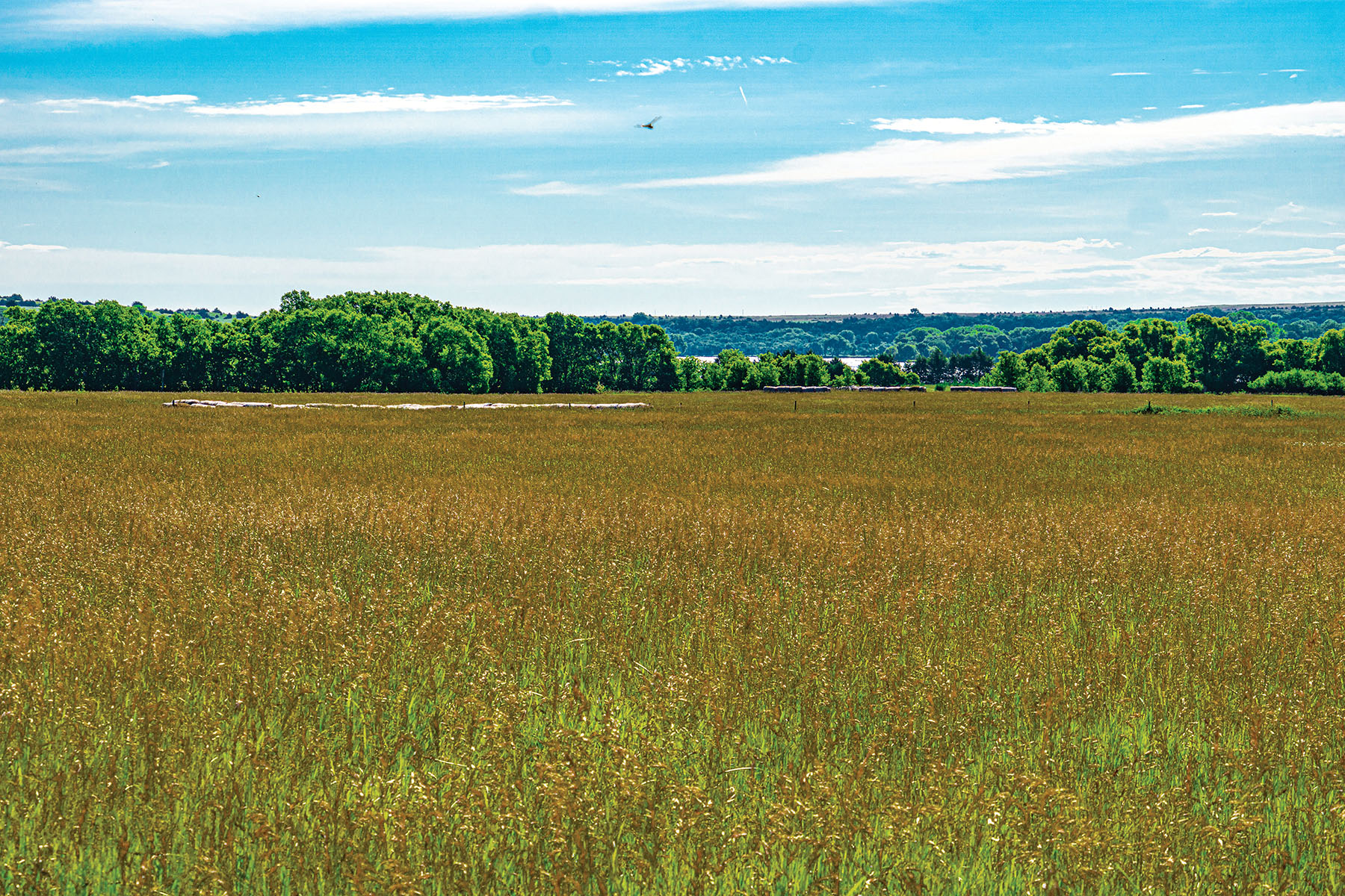 Arrowsmith Niobrara River Ranch property picture 85 of 120