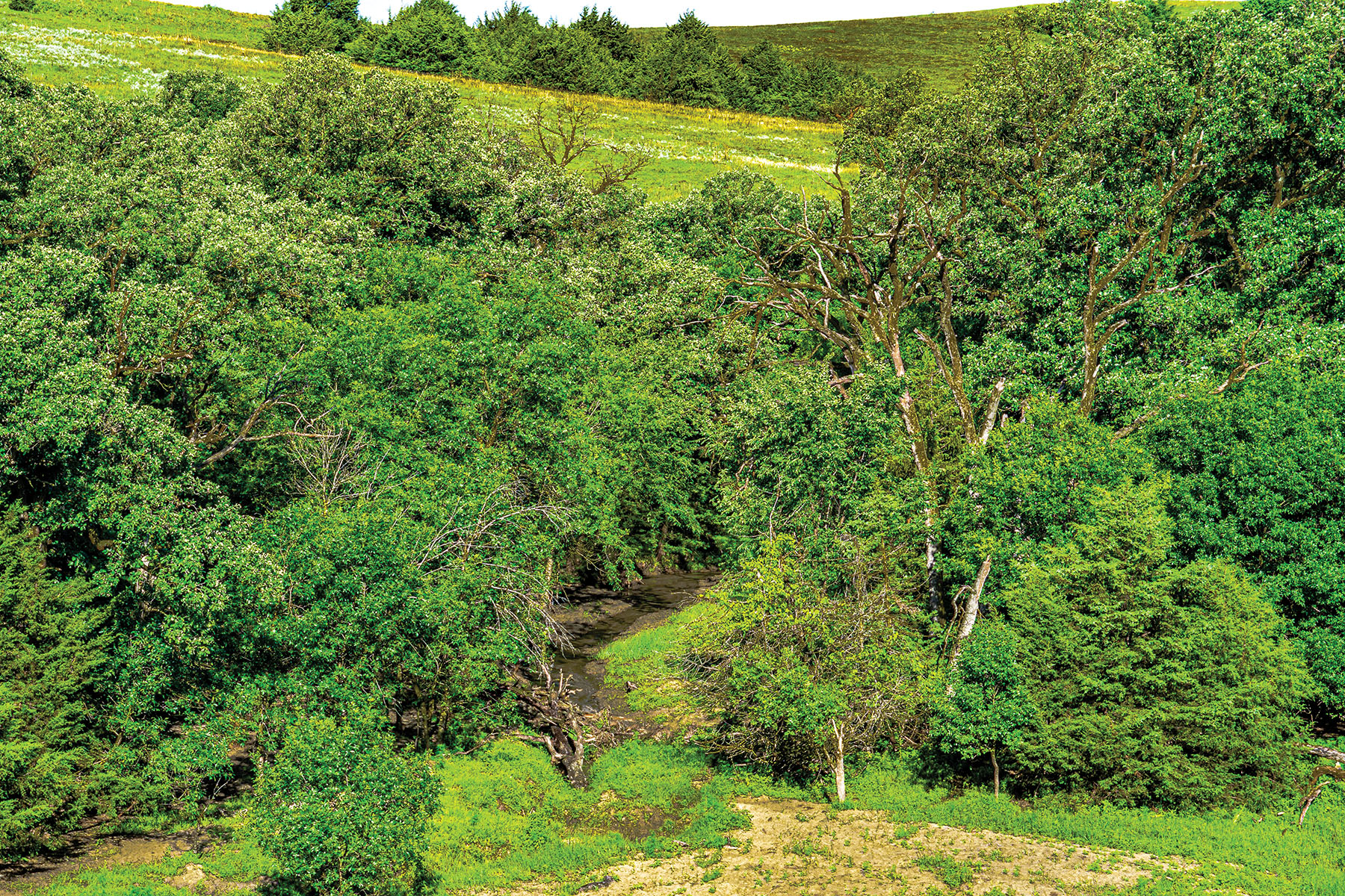 Arrowsmith Niobrara River Ranch property picture 45 of 120