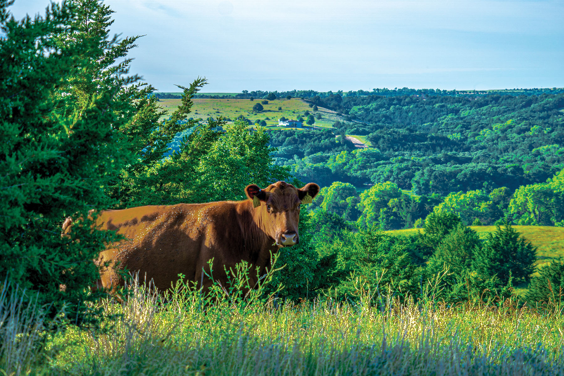 Arrowsmith Niobrara River Ranch property picture 9 of 120