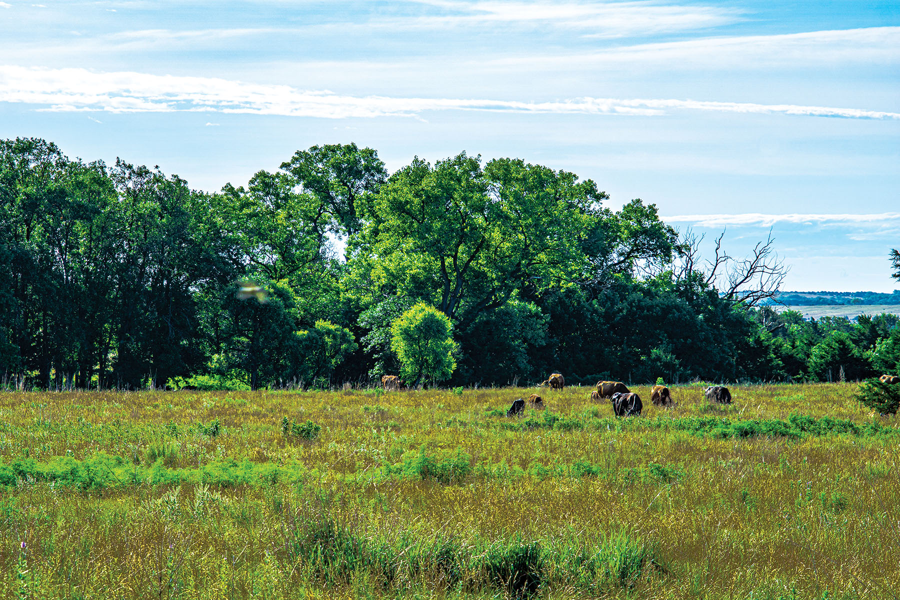 Arrowsmith Niobrara River Ranch property picture 72 of 120