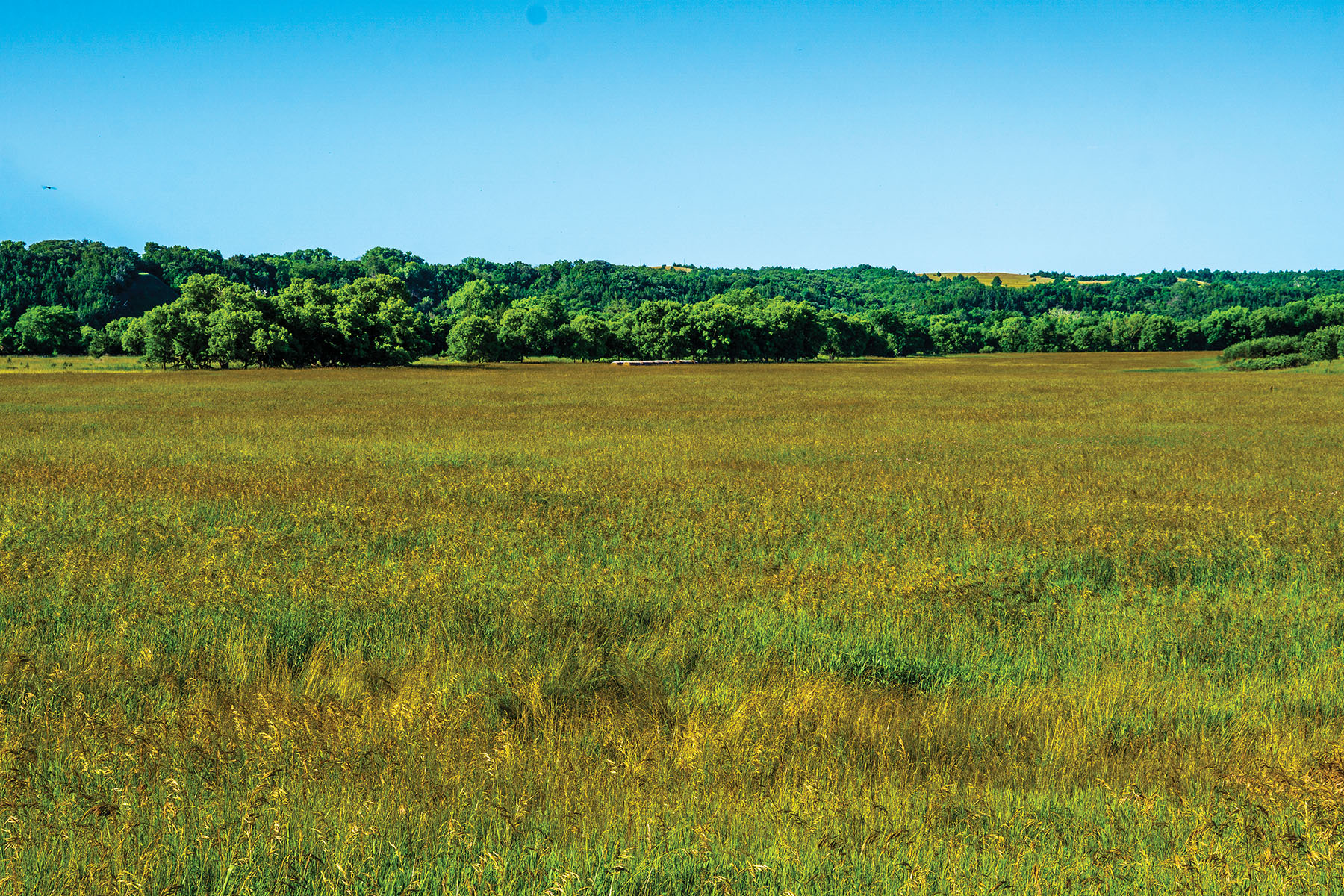 Arrowsmith Niobrara River Ranch property picture 81 of 120