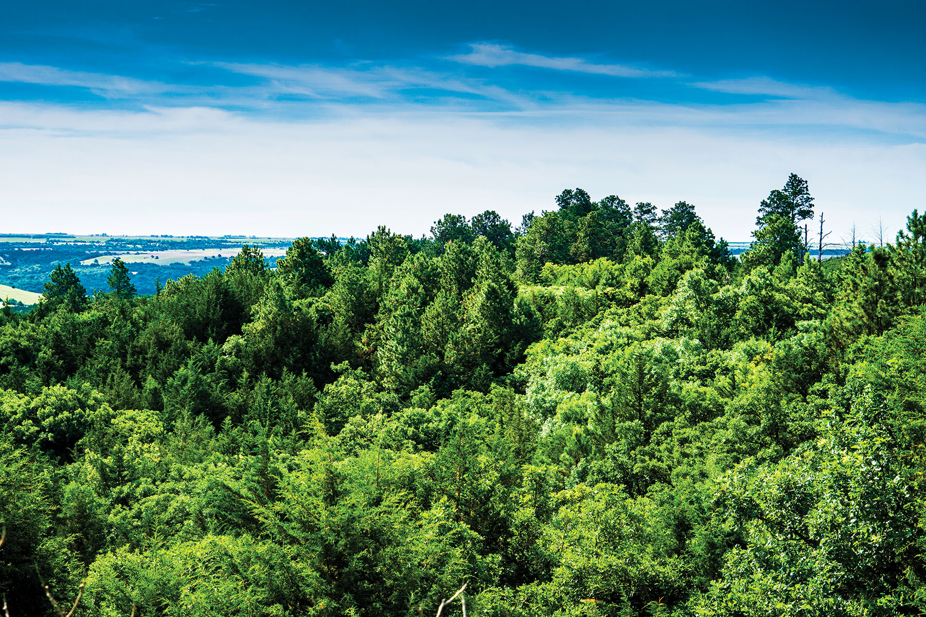 Arrowsmith Niobrara River Ranch property picture 94 of 120