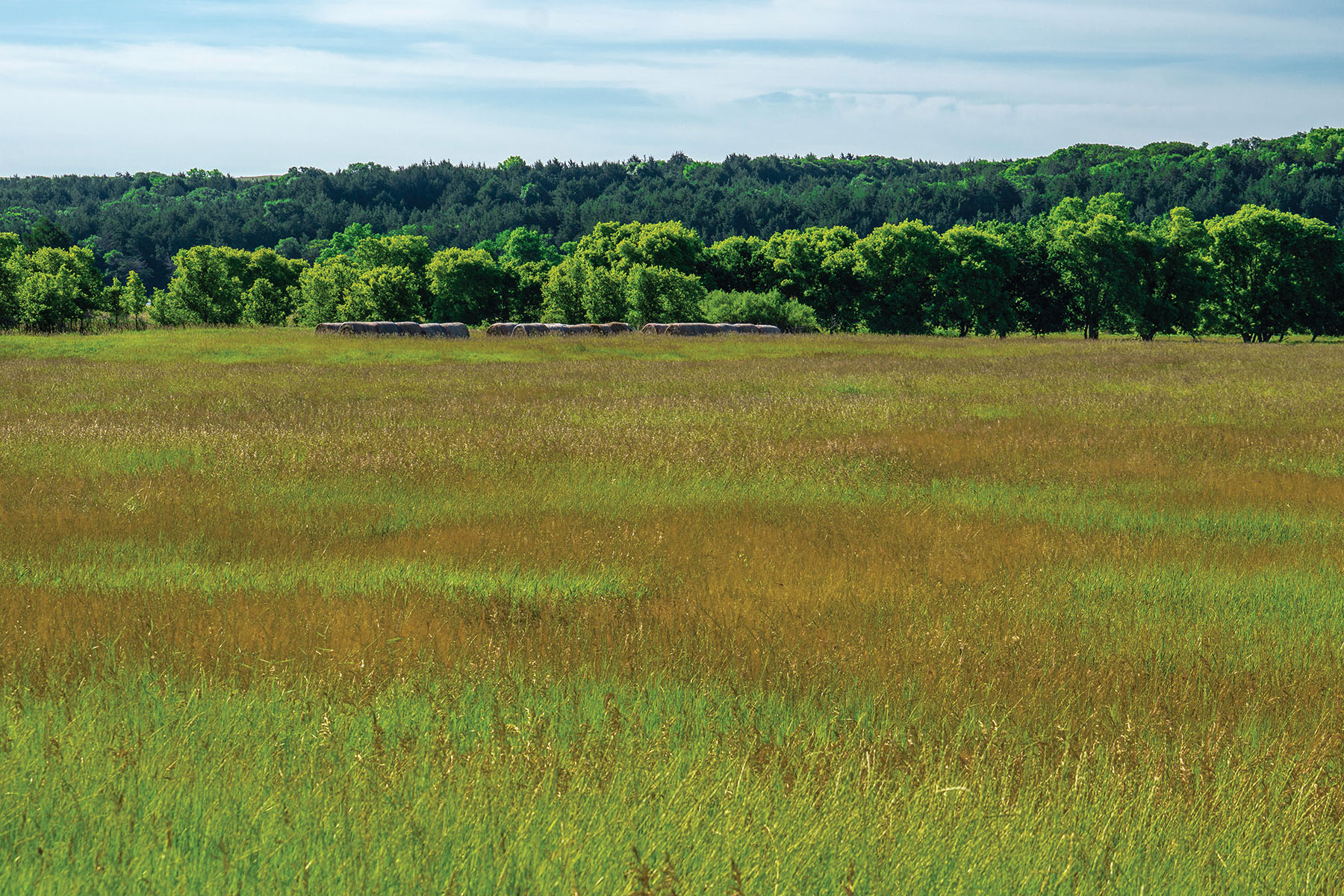 Arrowsmith Niobrara River Ranch property picture 83 of 120