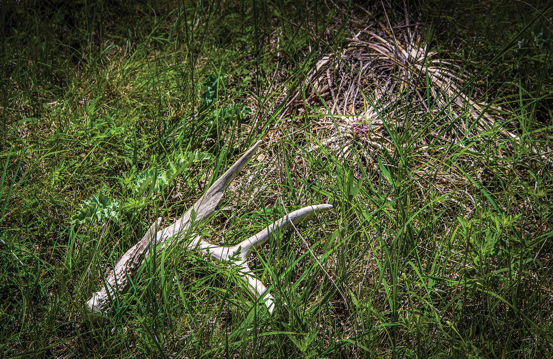 Arrowsmith Niobrara River Ranch property picture 33 of 120