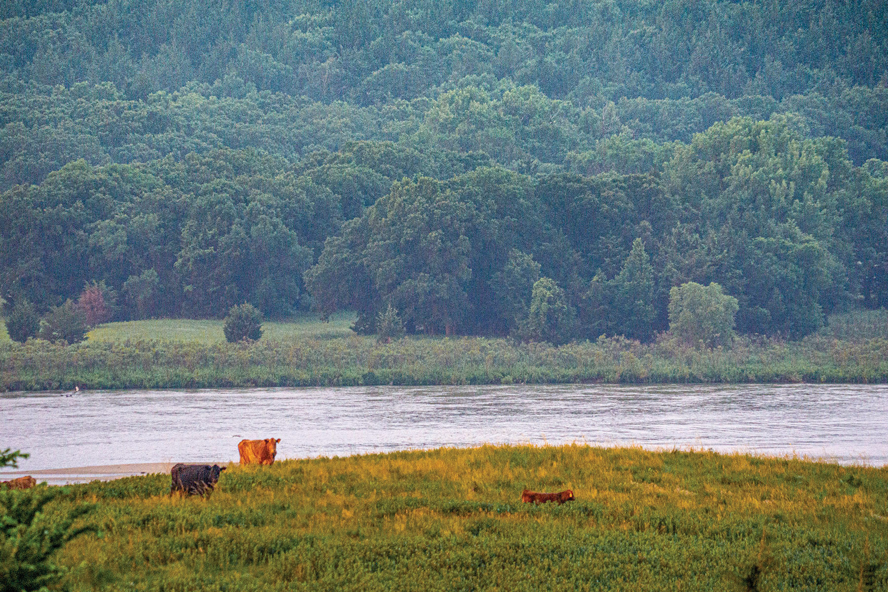 Arrowsmith Niobrara River Ranch property picture 16 of 120