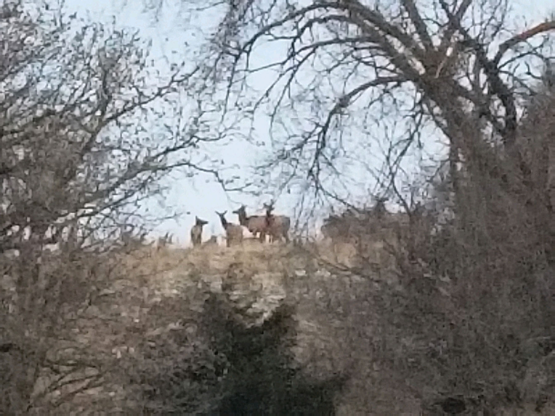 Arrowsmith Niobrara River Ranch property picture 104 of 120