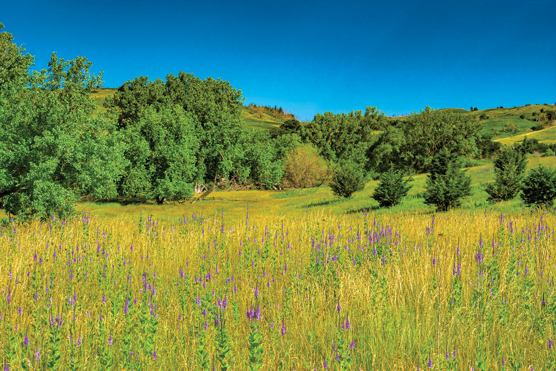 Arrowsmith Niobrara River Ranch property picture 90 of 120