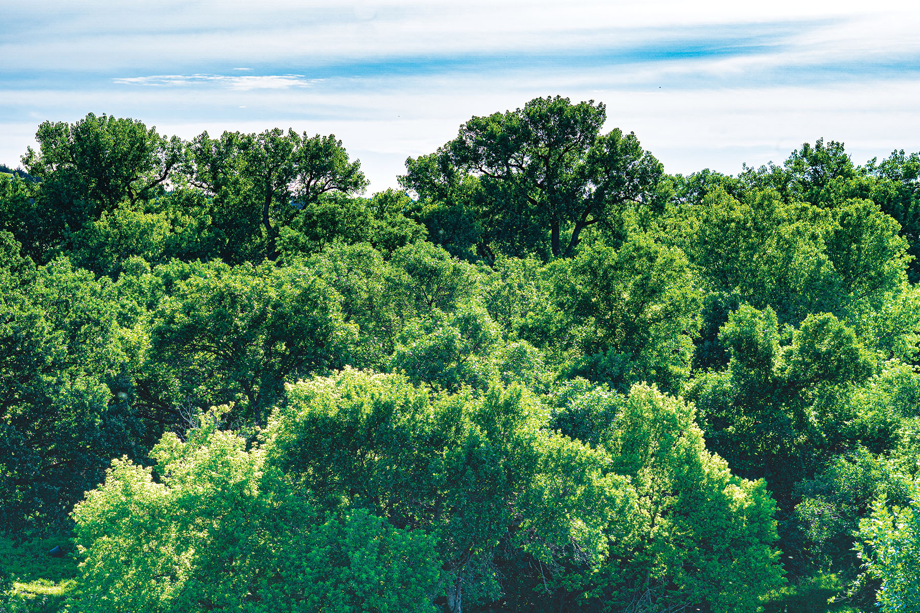 Arrowsmith Niobrara River Ranch property picture 76 of 120
