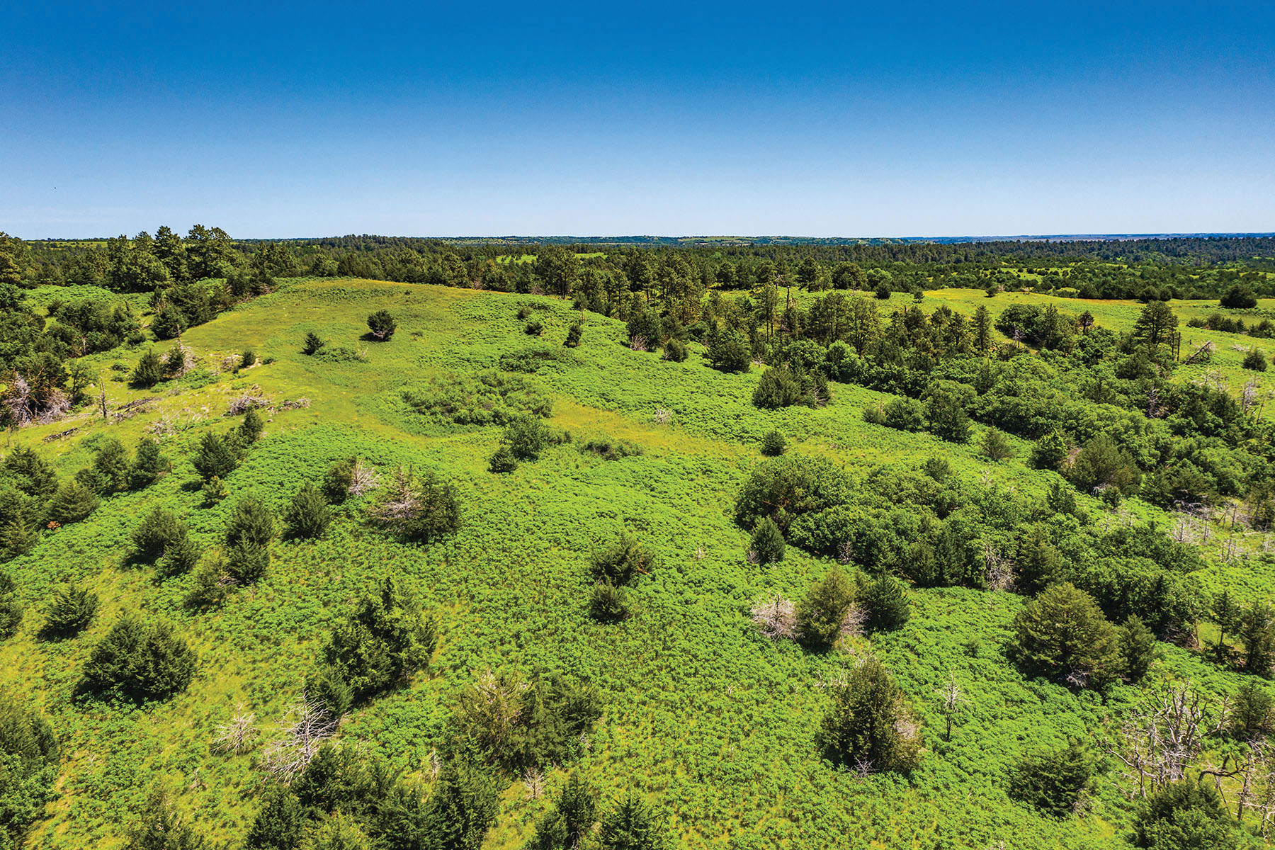 Arrowsmith Niobrara River Ranch property picture 31 of 120
