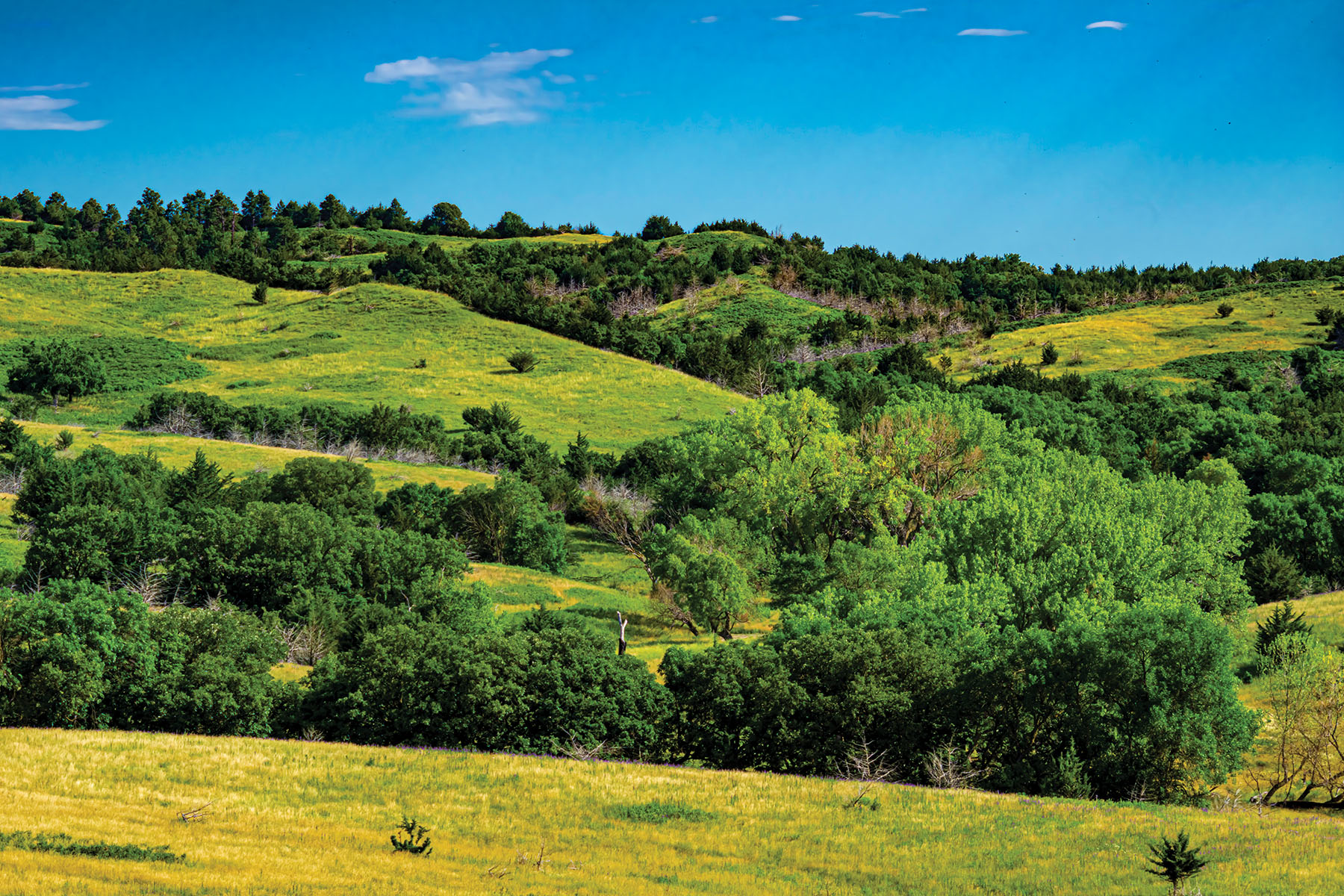 Arrowsmith Niobrara River Ranch property picture 89 of 120