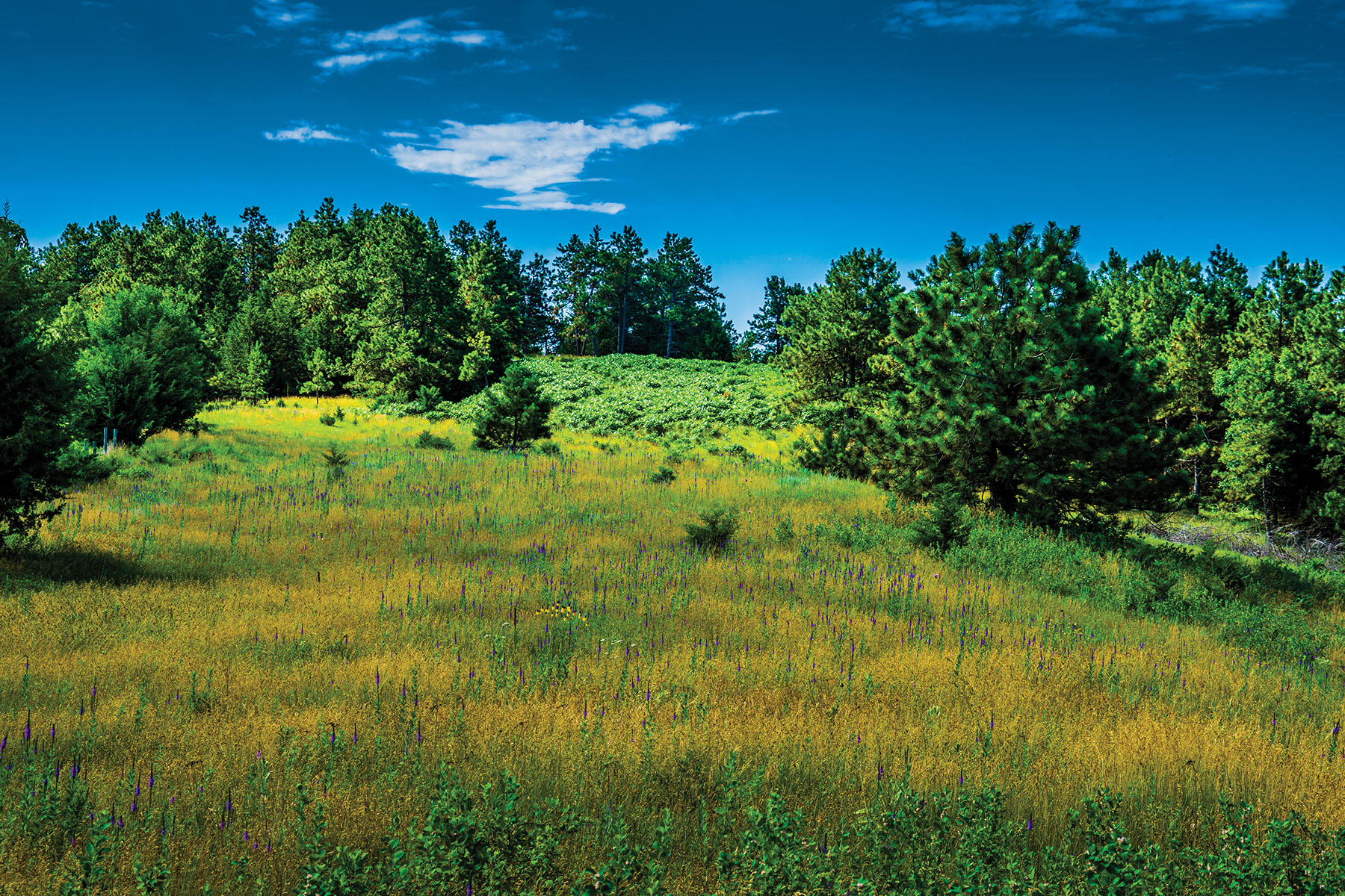 Arrowsmith Niobrara River Ranch property picture 95 of 120