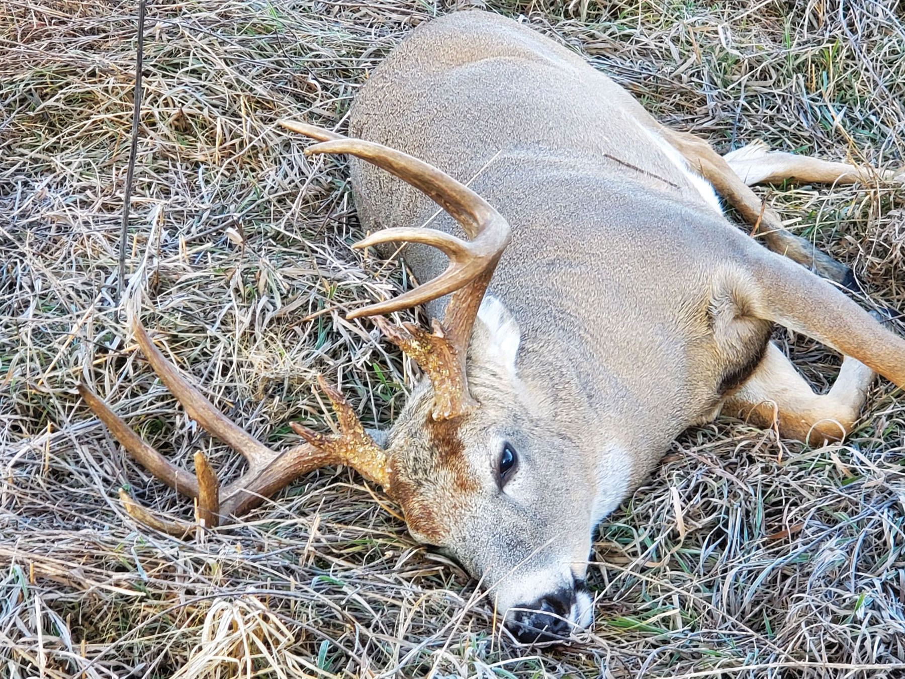 Arrowsmith Niobrara River Ranch property picture 105 of 120