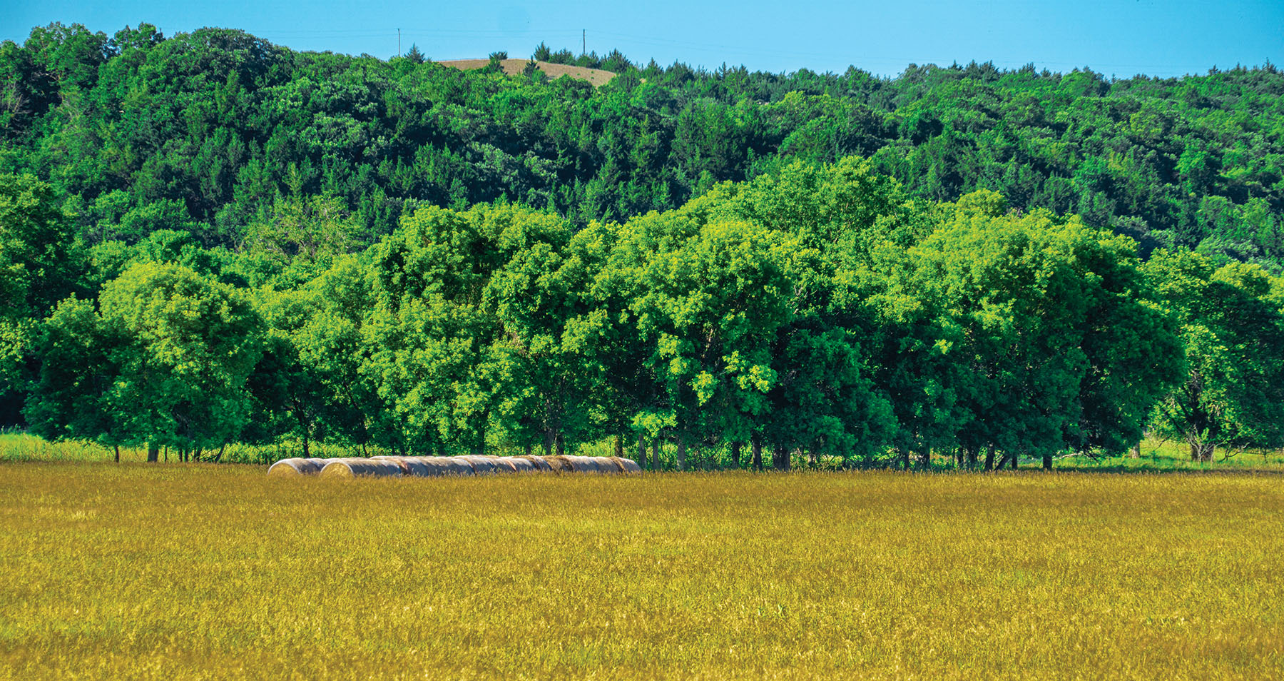 Arrowsmith Niobrara River Ranch property picture 82 of 120
