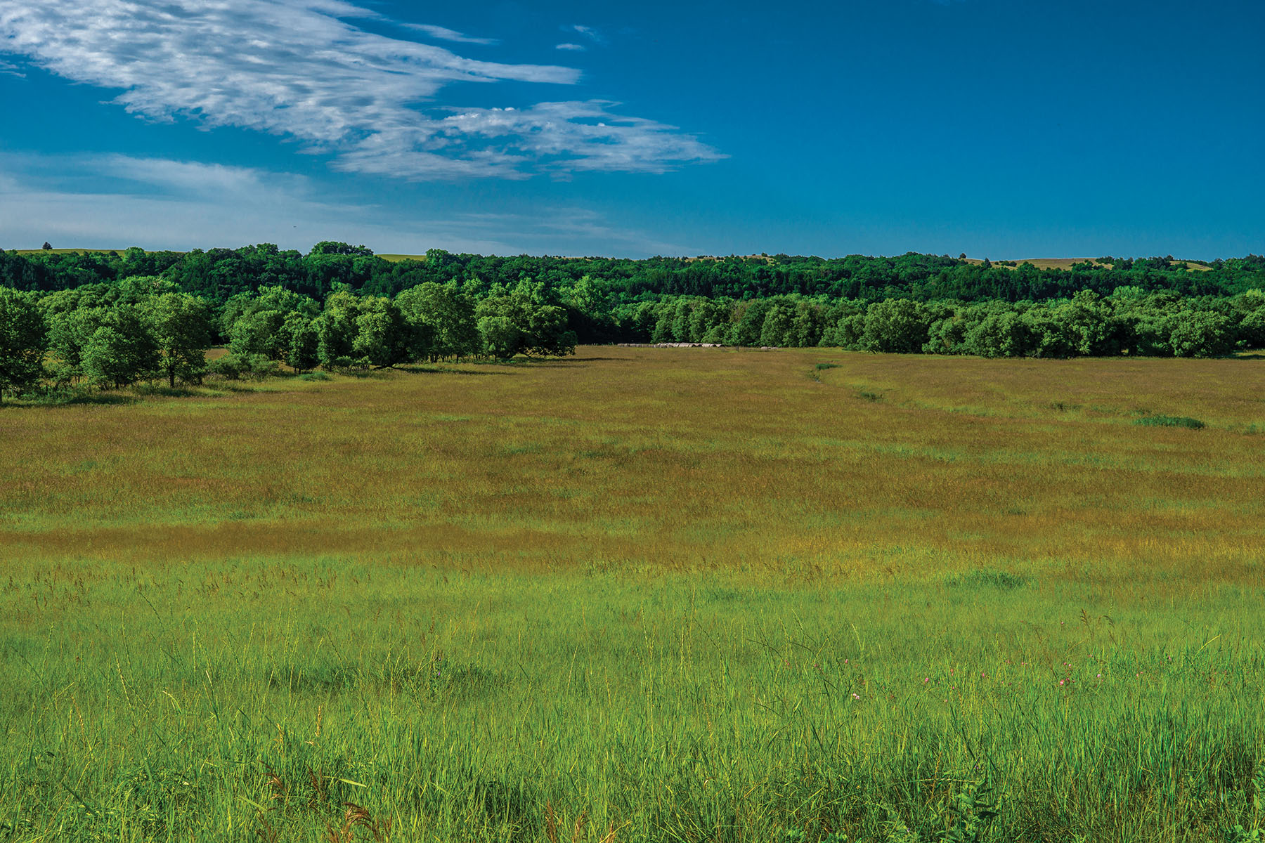 Arrowsmith Niobrara River Ranch property picture 84 of 120