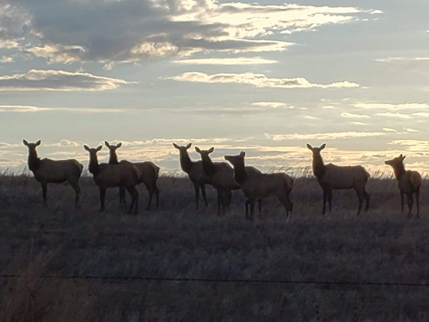 Arrowsmith Niobrara River Ranch property picture 14 of 120