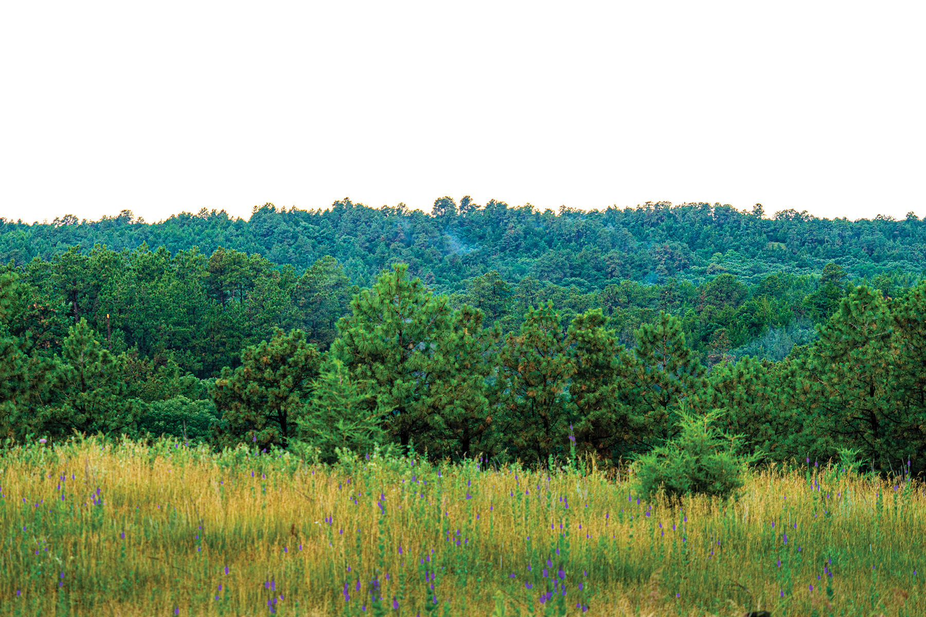 Arrowsmith Niobrara River Ranch property picture 66 of 120