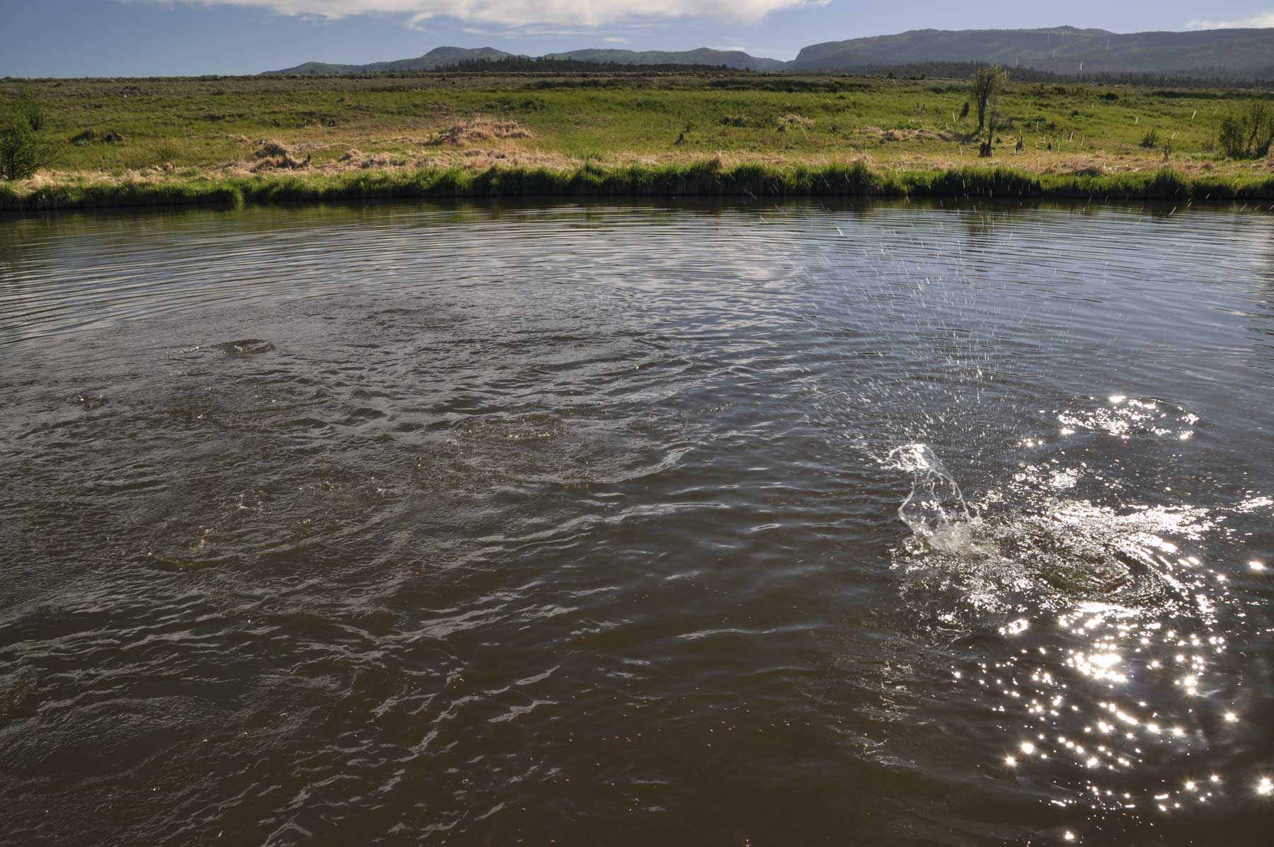 Canones Creek Ranch property picture 63 of 112