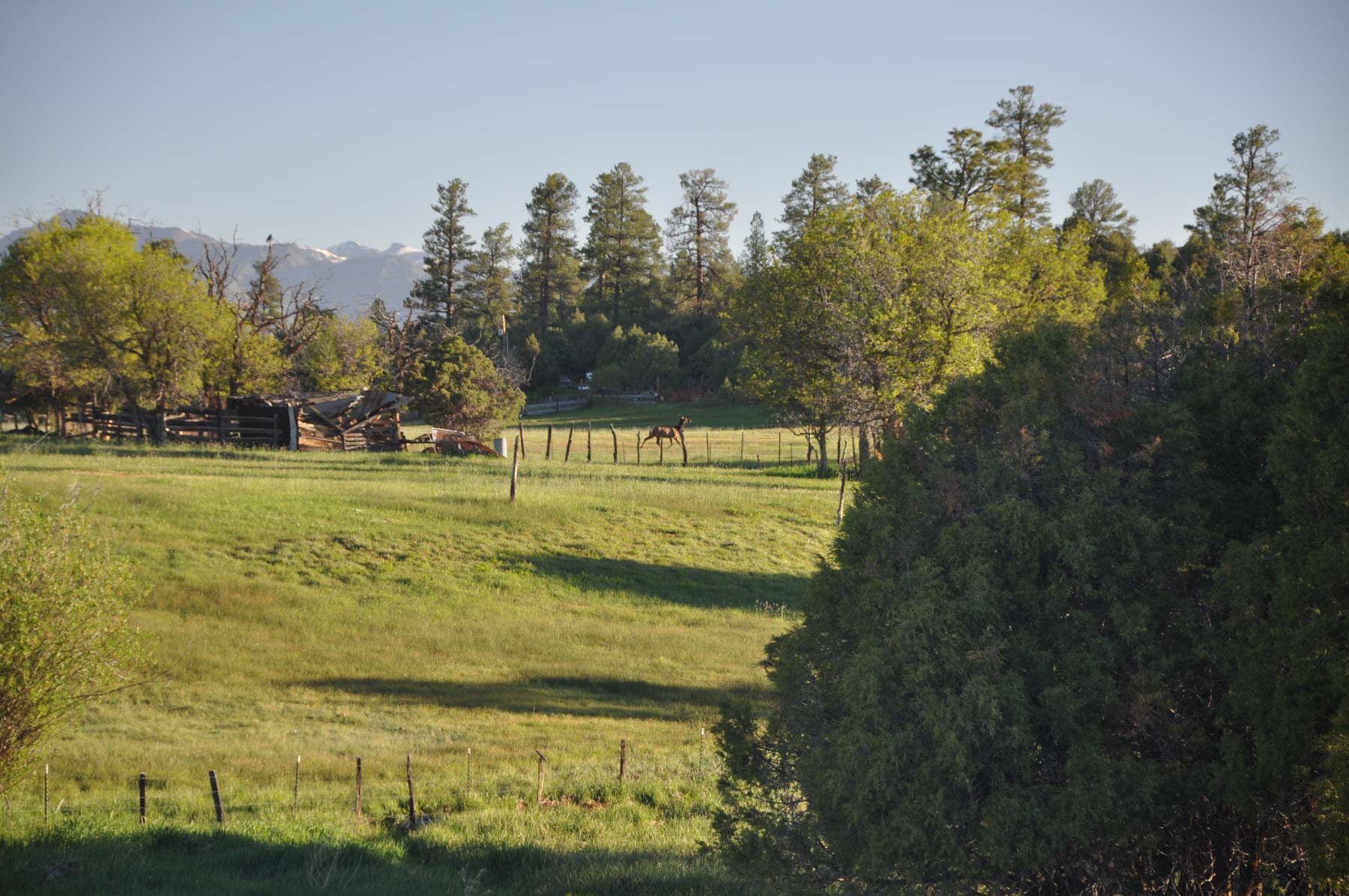 Canones Creek Ranch property picture 30 of 112