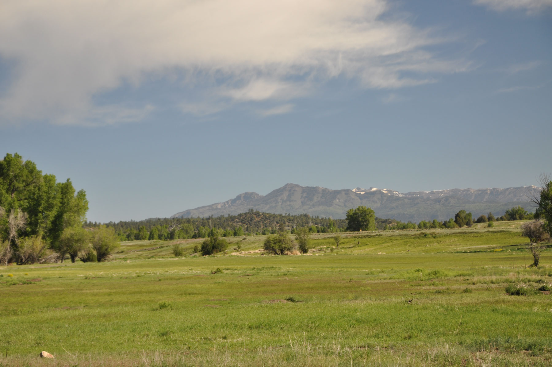 Canones Creek Ranch property picture 66 of 112