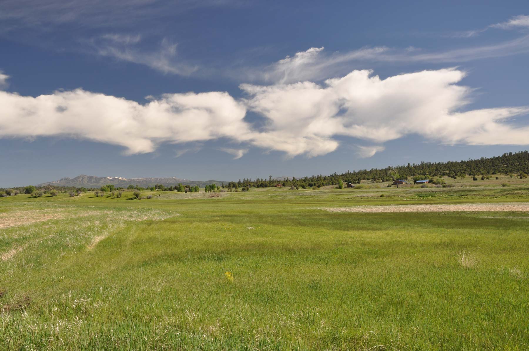 Canones Creek Ranch property picture 78 of 112