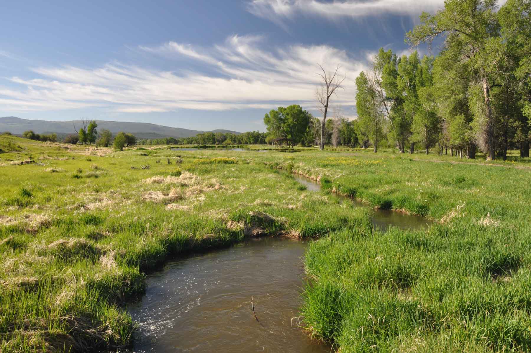 Canones Creek Ranch property picture 60 of 112