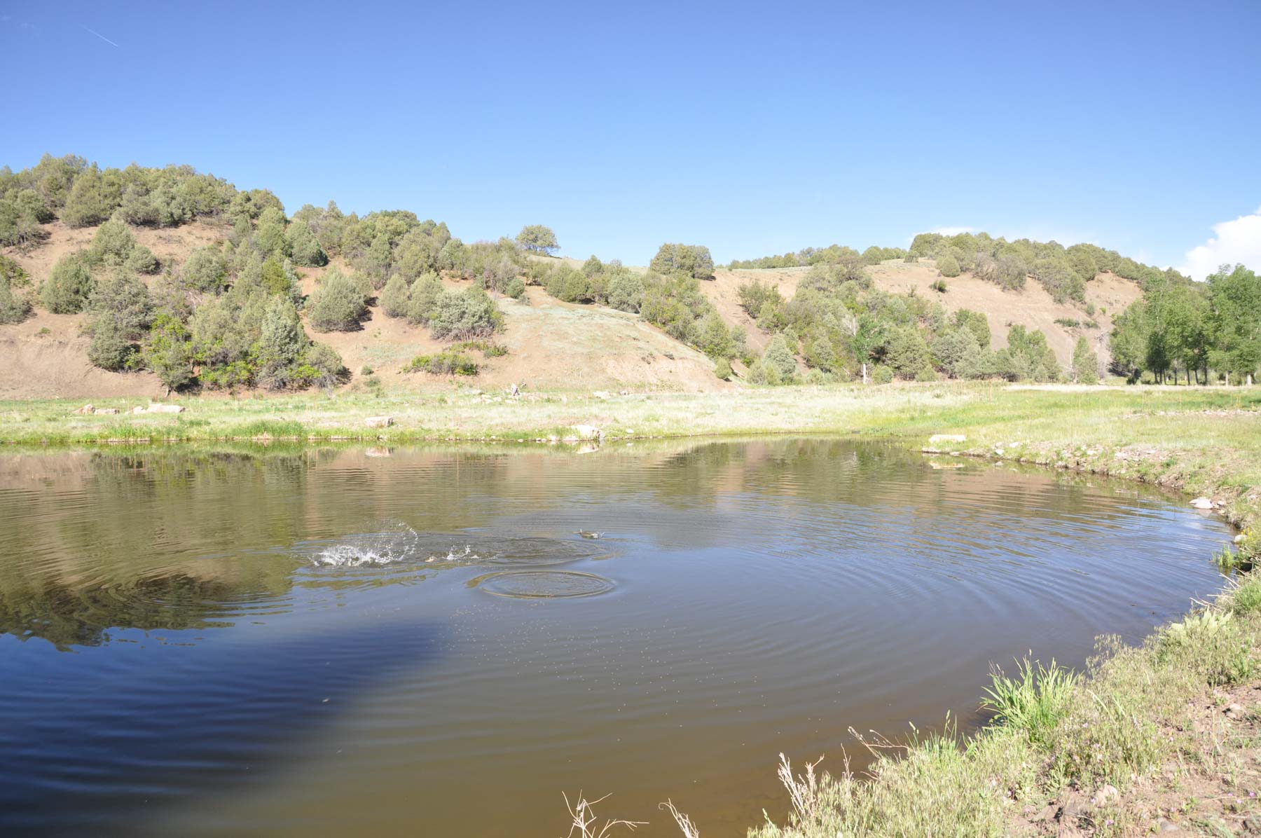 Canones Creek Ranch property picture 67 of 112