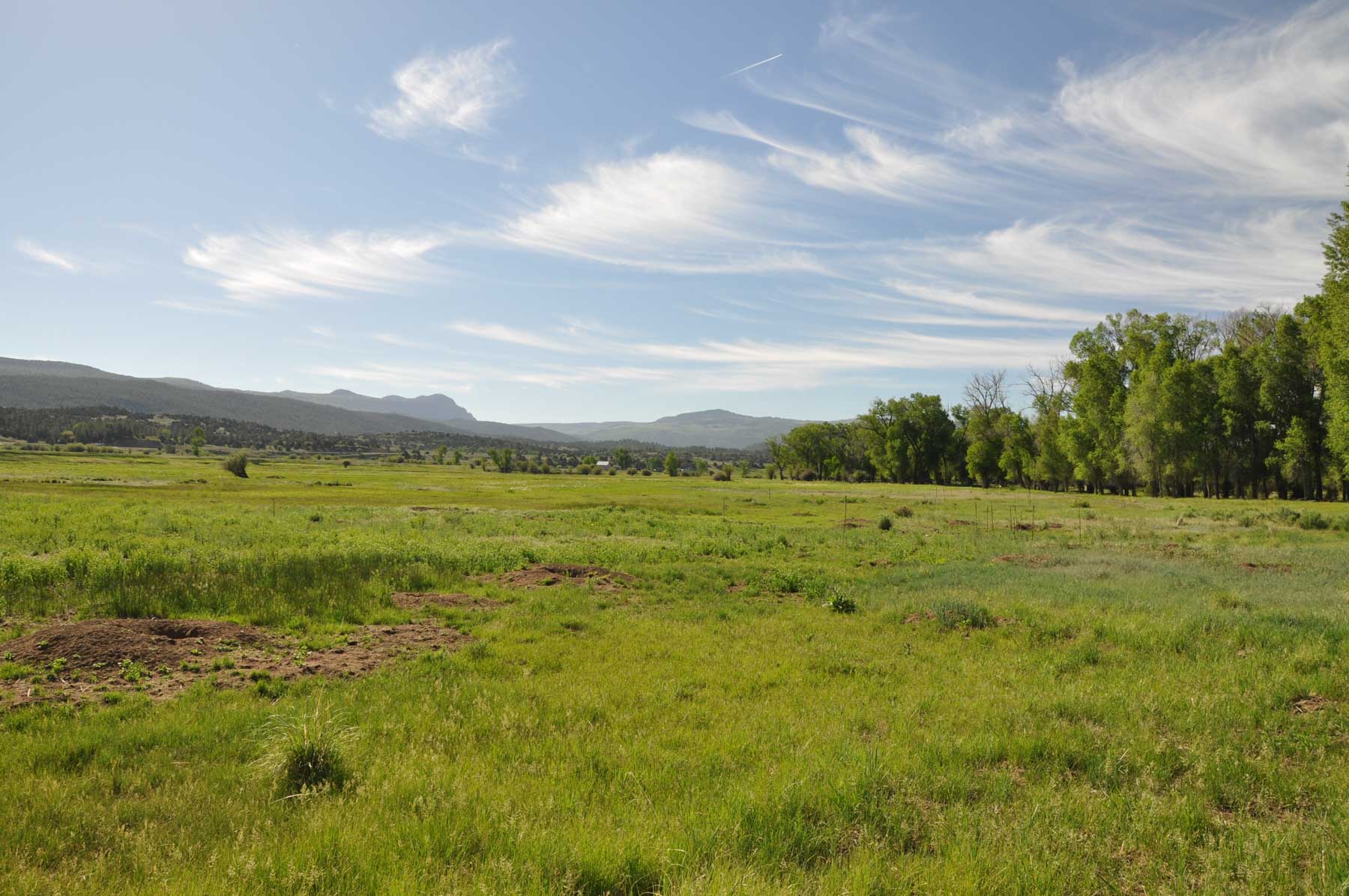 Canones Creek Ranch property picture 64 of 112