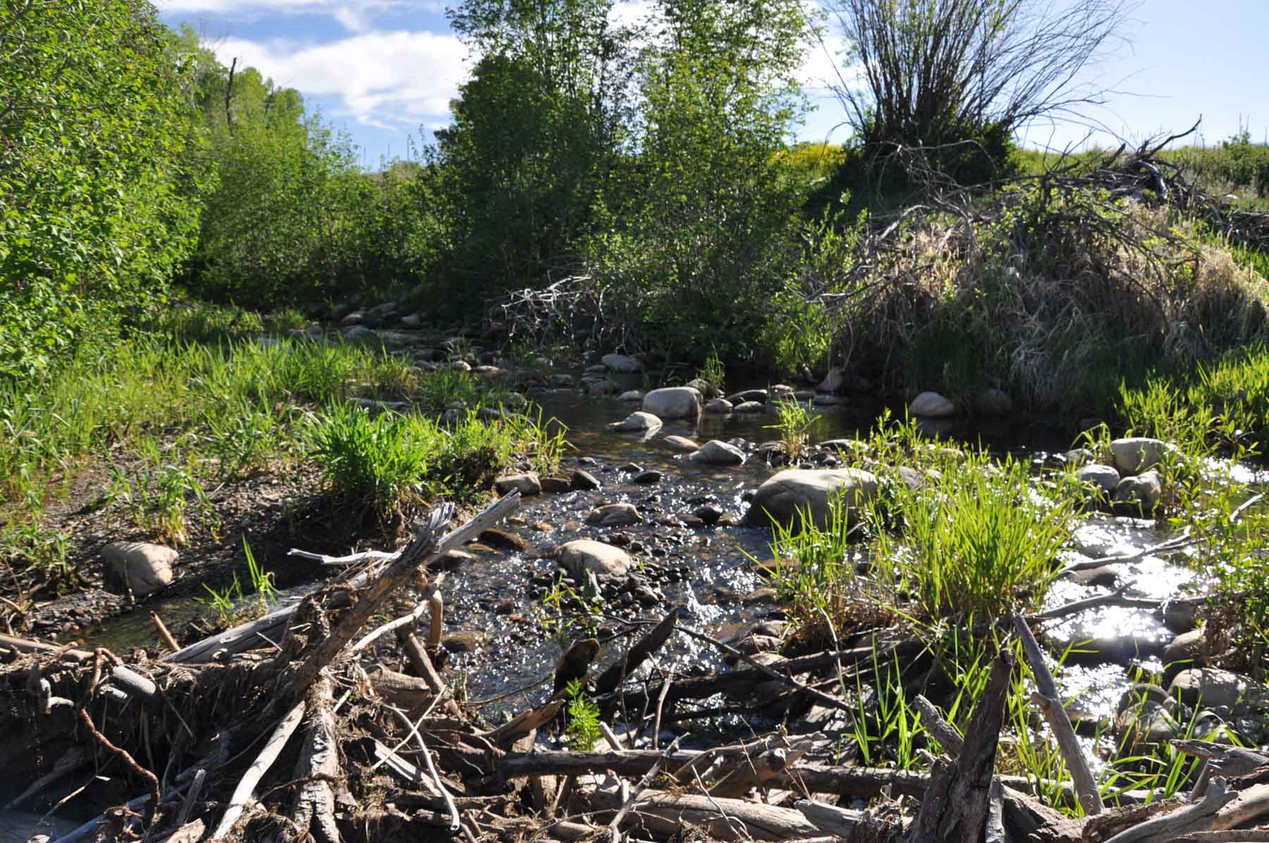 Canones Creek Ranch property picture 53 of 112