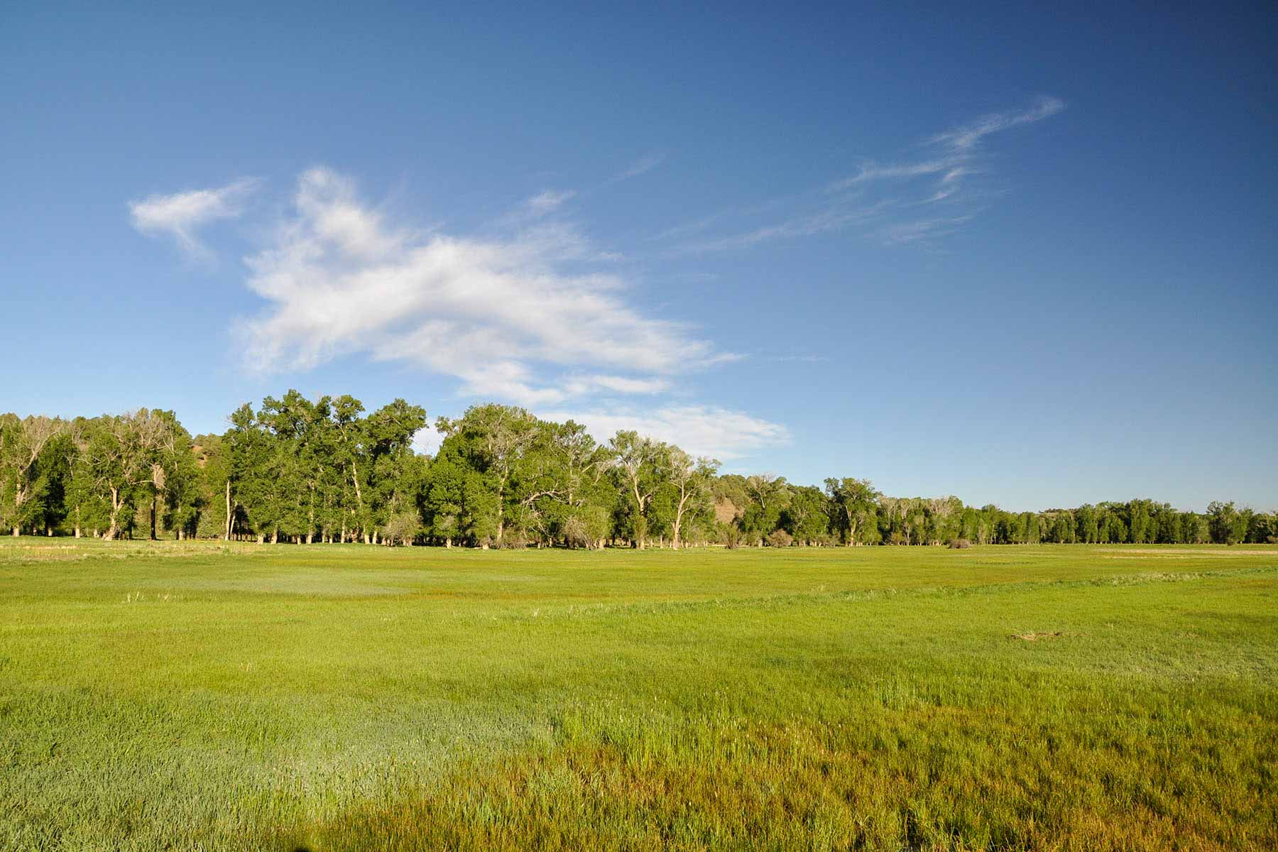 Canones Creek Ranch property picture 46 of 112