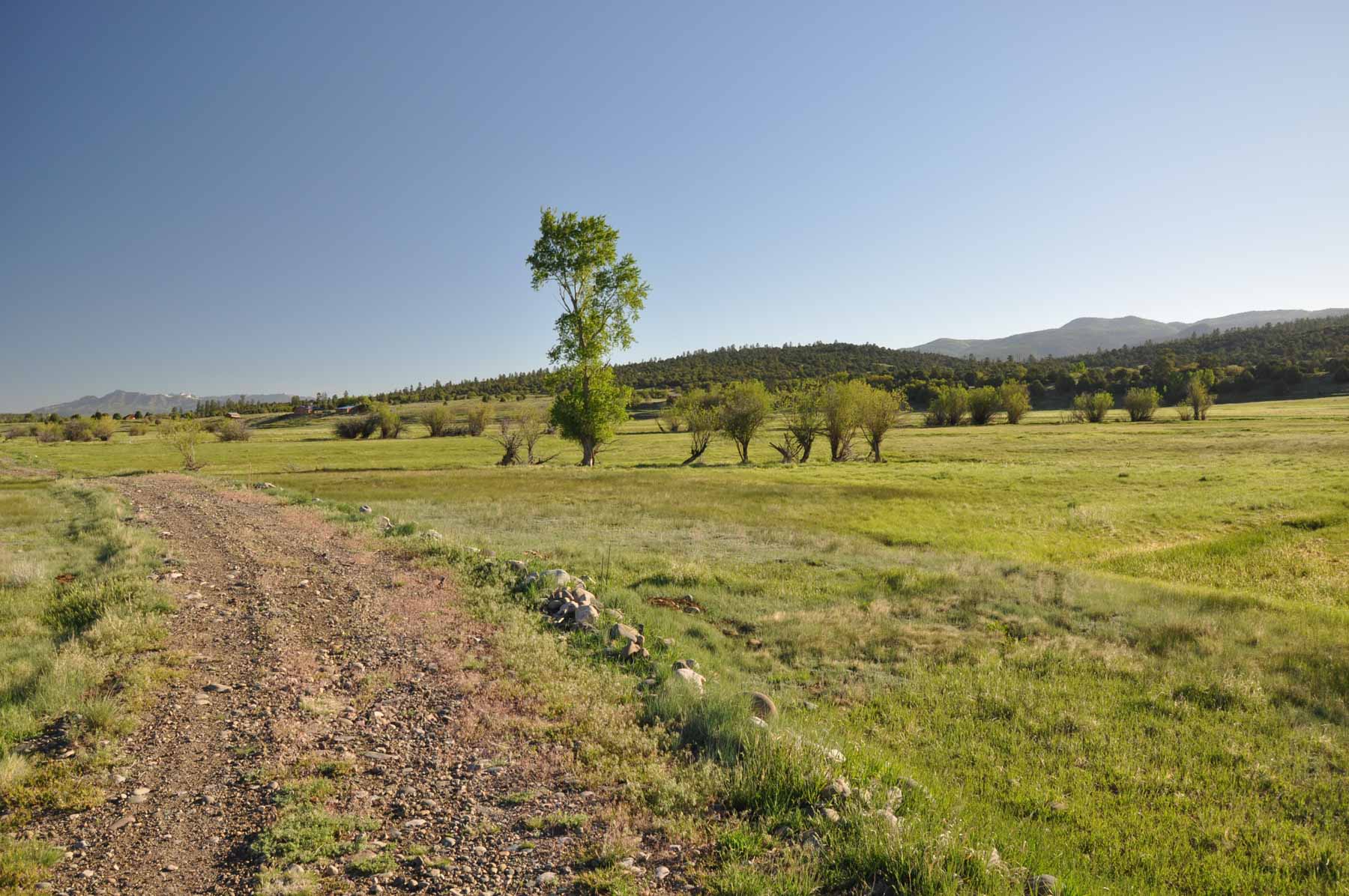 Canones Creek Ranch property picture 48 of 112