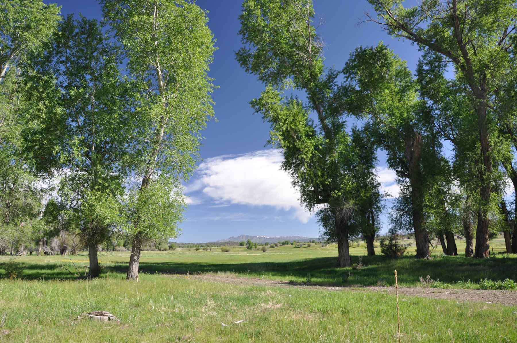 Canones Creek Ranch property picture 71 of 112