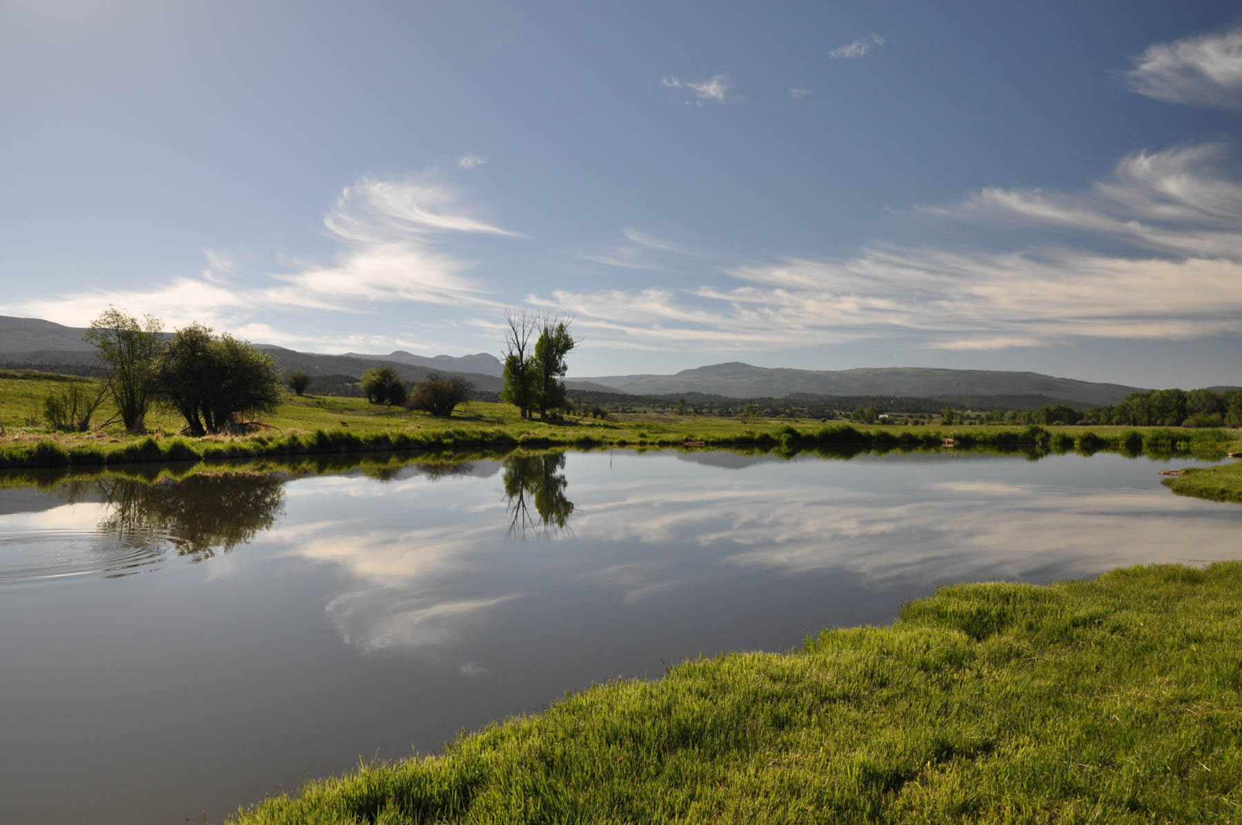 Canones Creek Ranch property picture 61 of 112