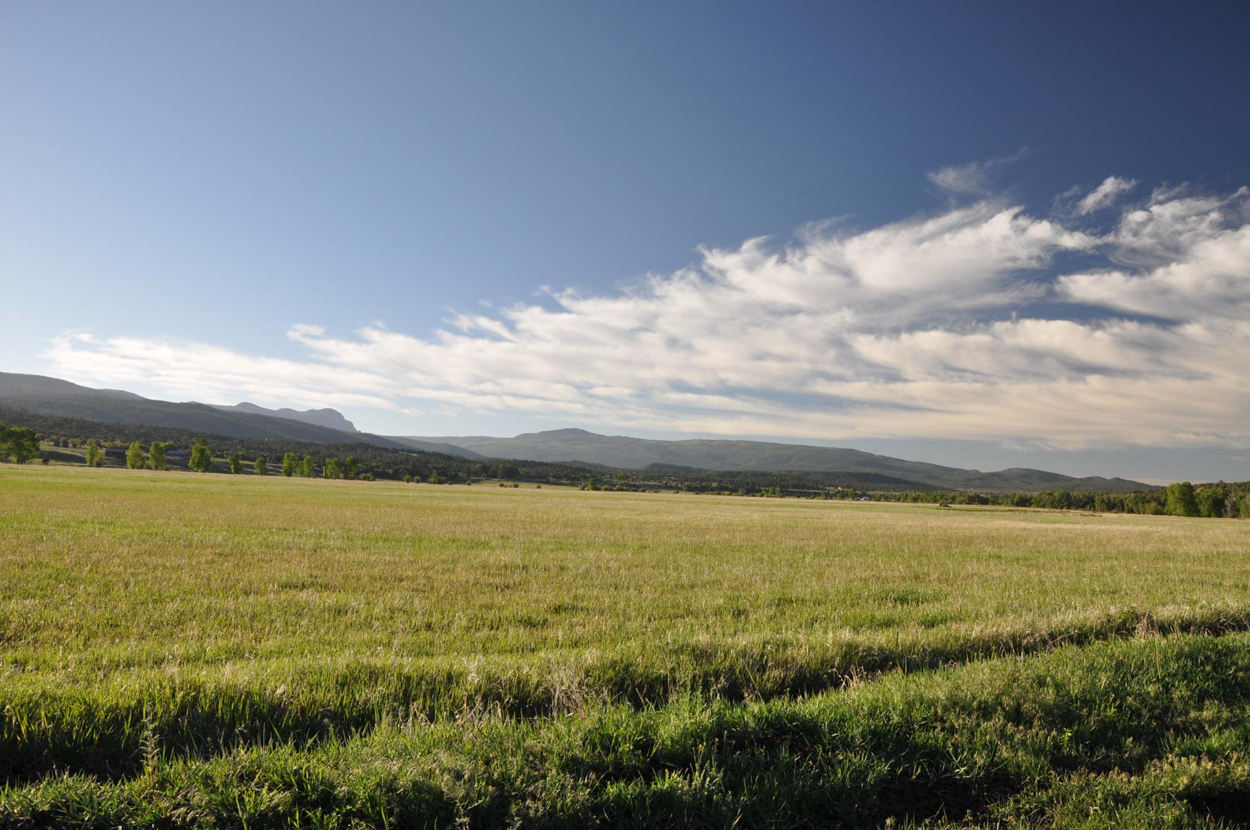 Canones Creek Ranch property picture 39 of 112