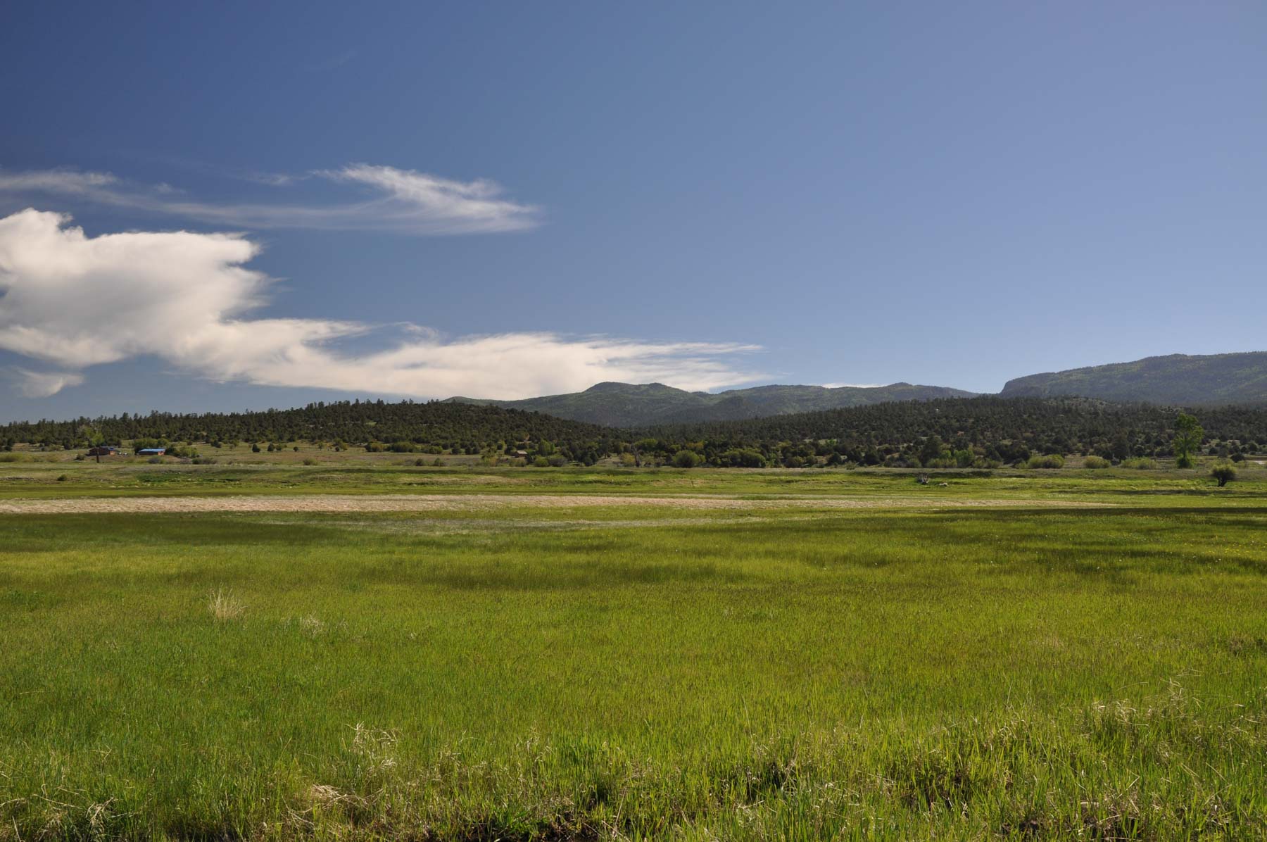 Canones Creek Ranch property picture 79 of 112