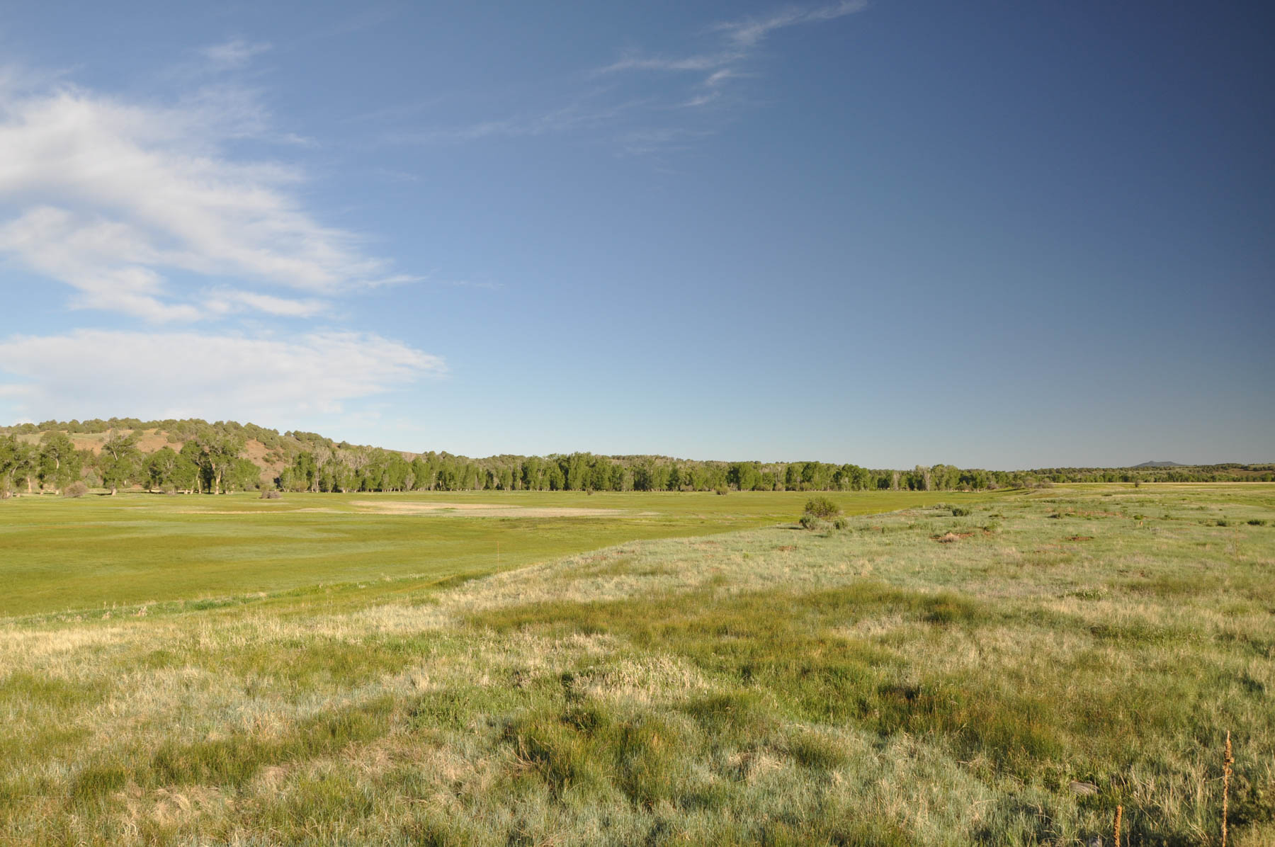 Canones Creek Ranch property picture 47 of 112