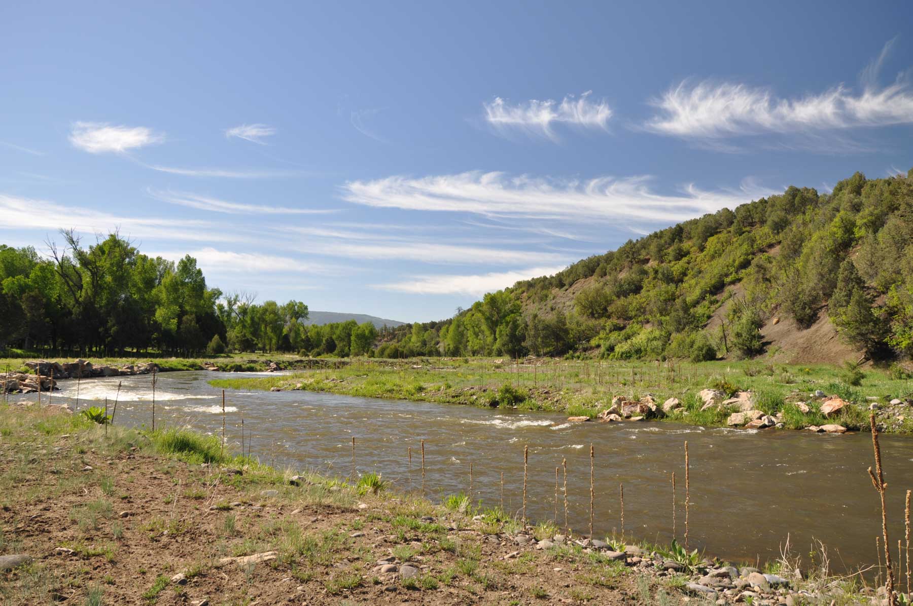 Canones Creek Ranch property picture 73 of 112