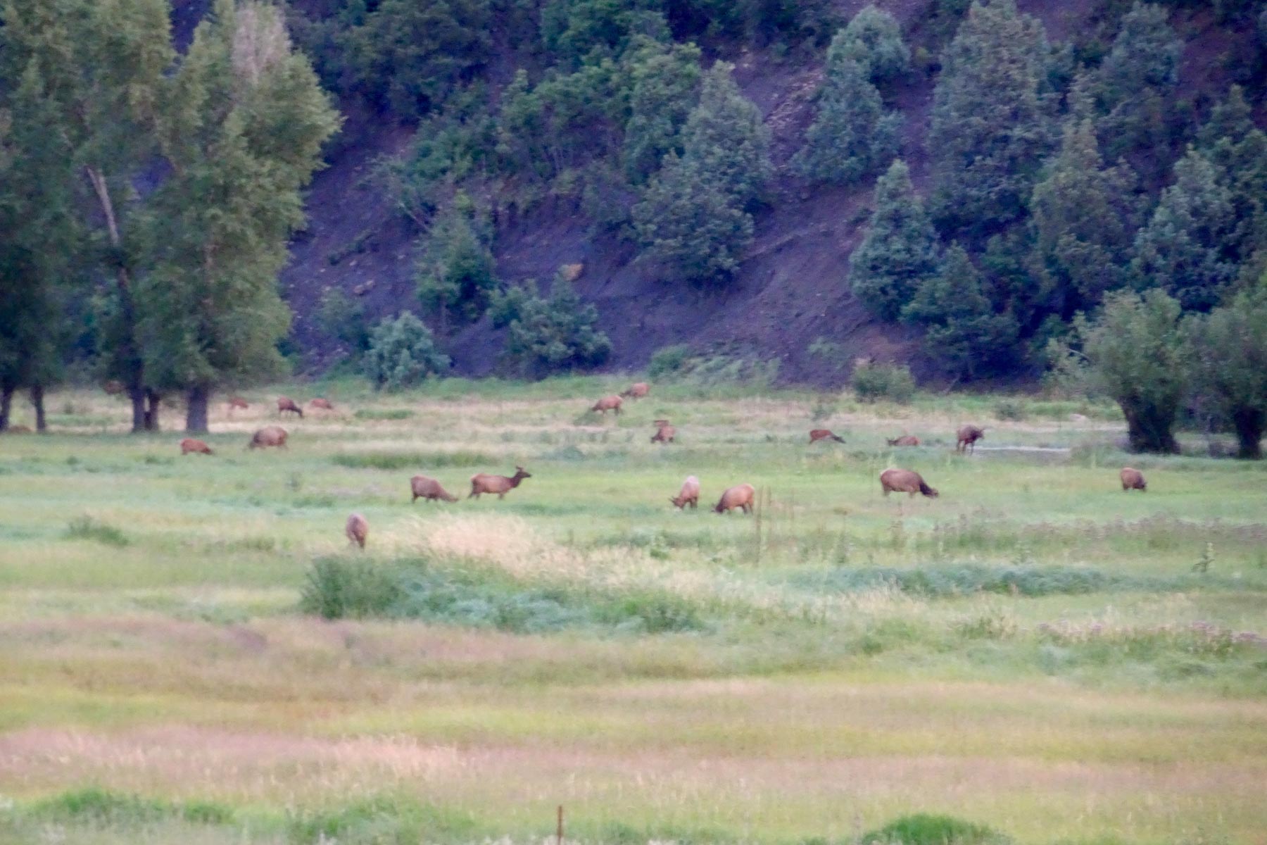 Canones Creek Ranch property picture 28 of 112