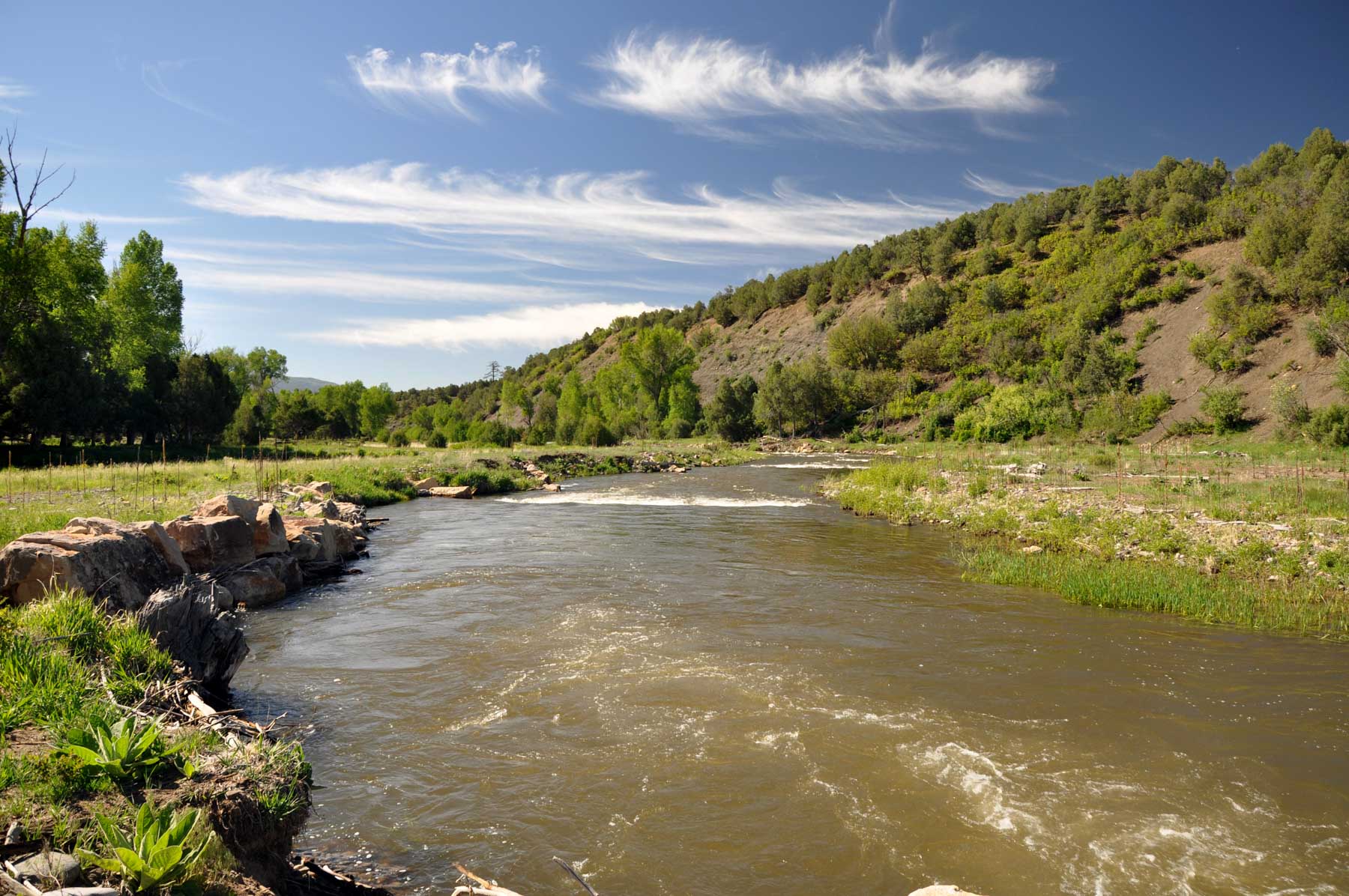 Canones Creek Ranch property picture 7 of 112