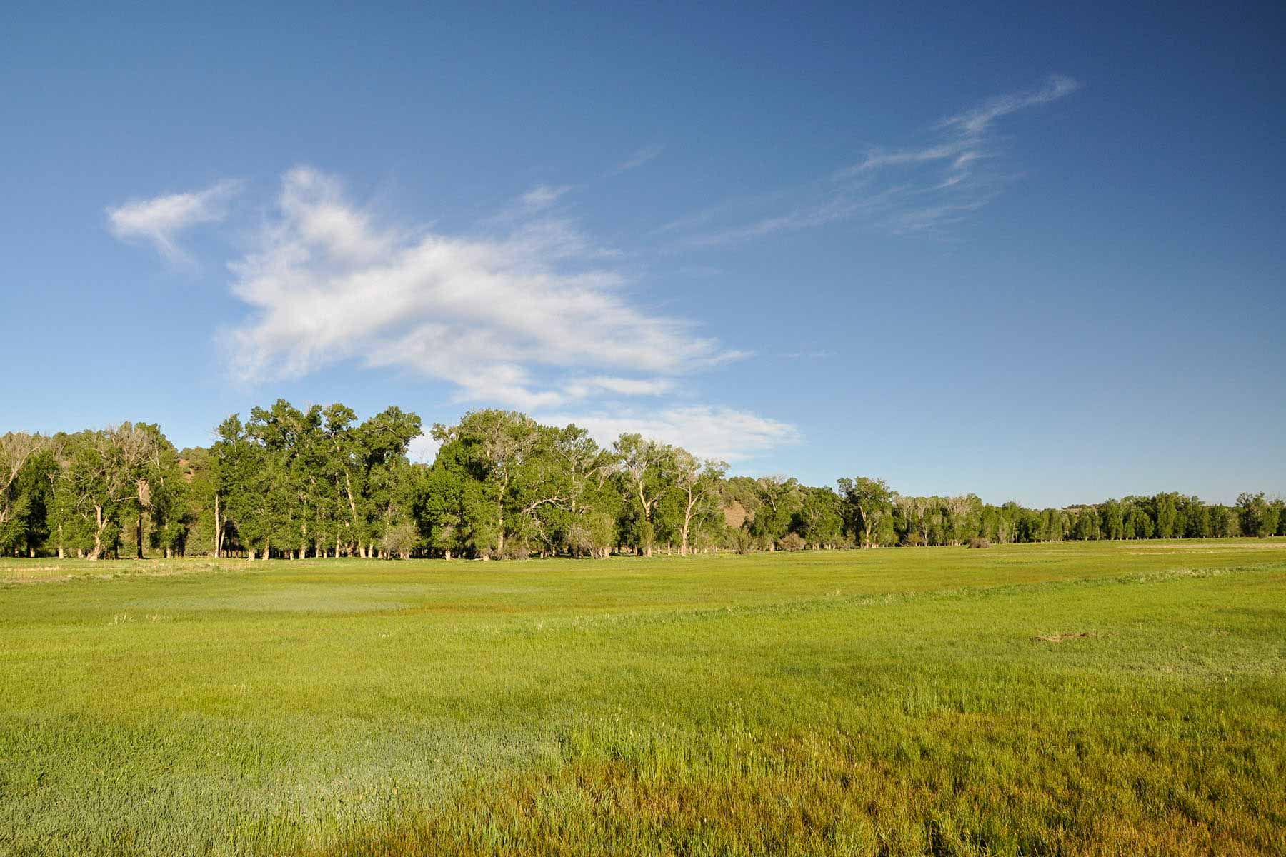 Canones Creek Ranch property picture 11 of 112