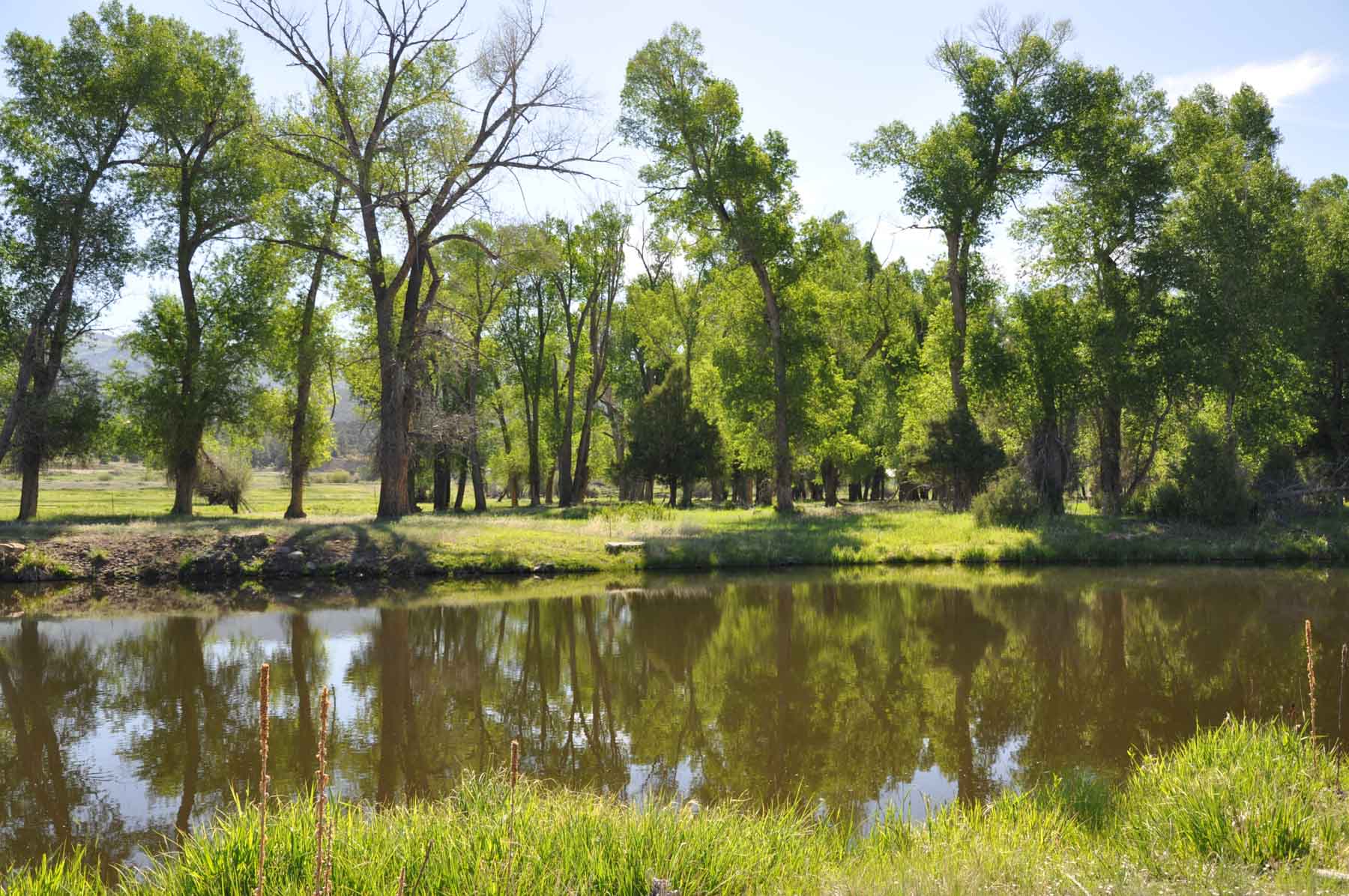 Canones Creek Ranch property picture 23 of 112