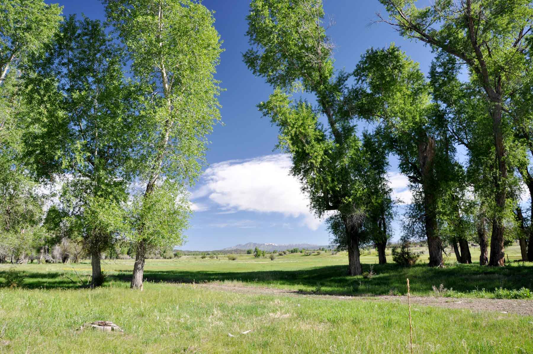 Canones Creek Ranch property picture 9 of 112