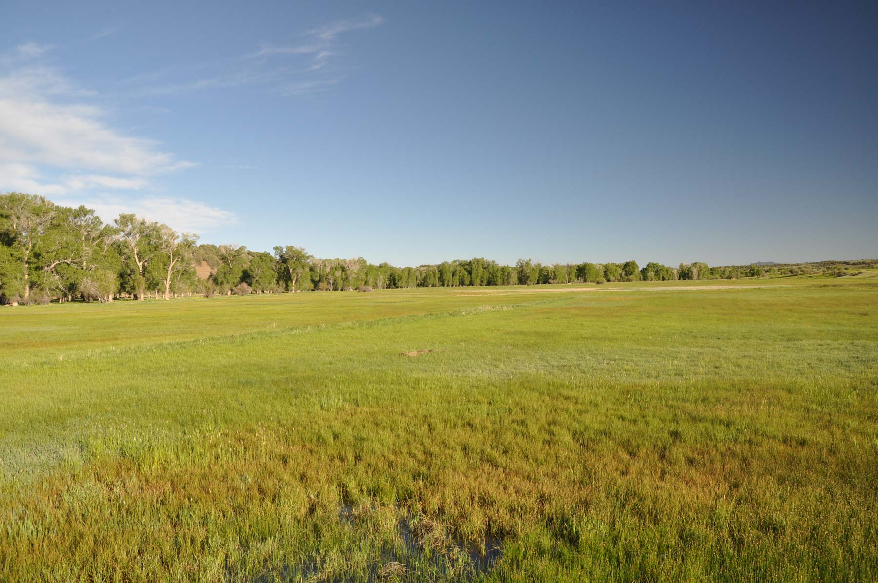 Canones Creek Ranch property picture 44 of 112