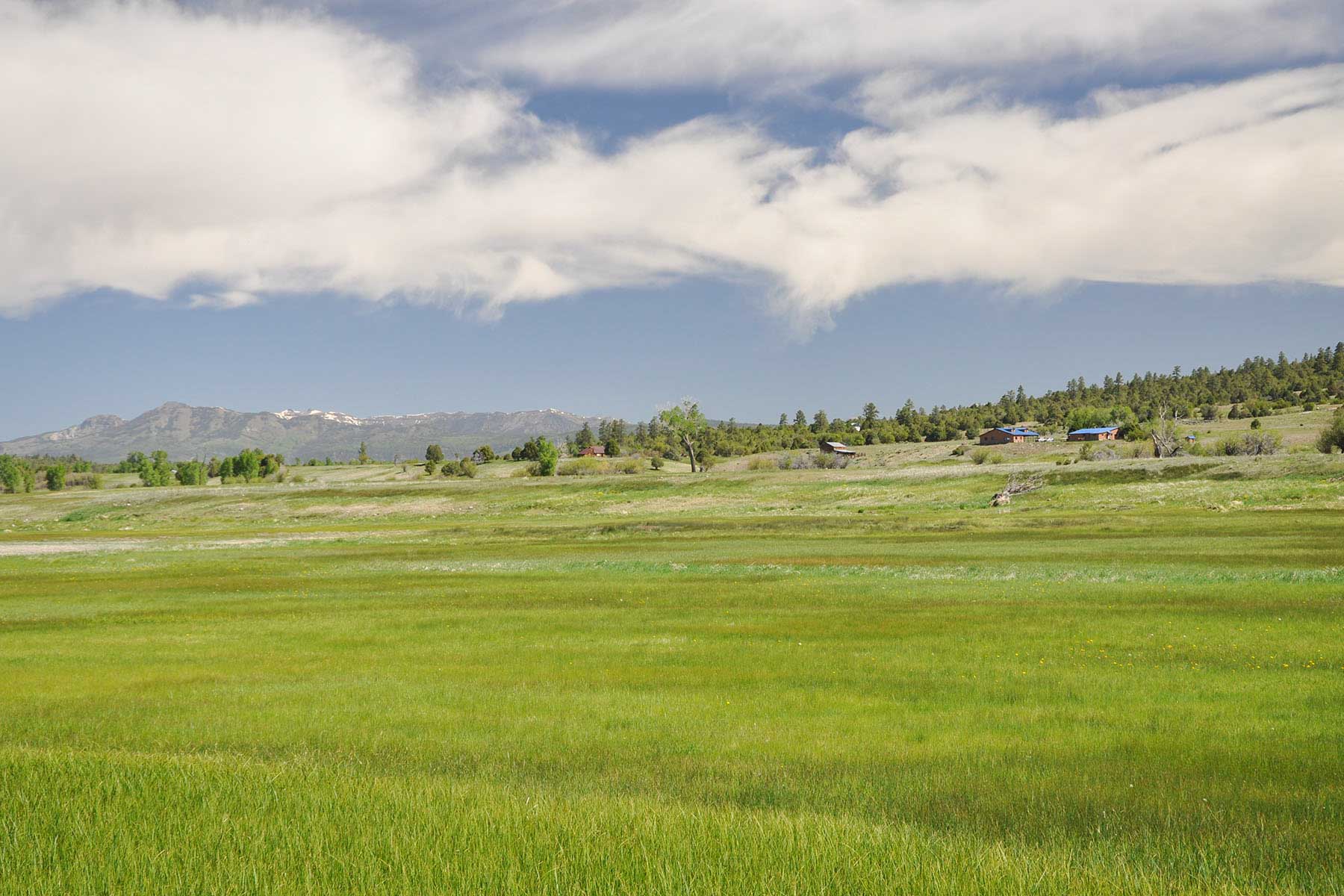 Canones Creek Ranch property picture 84 of 112