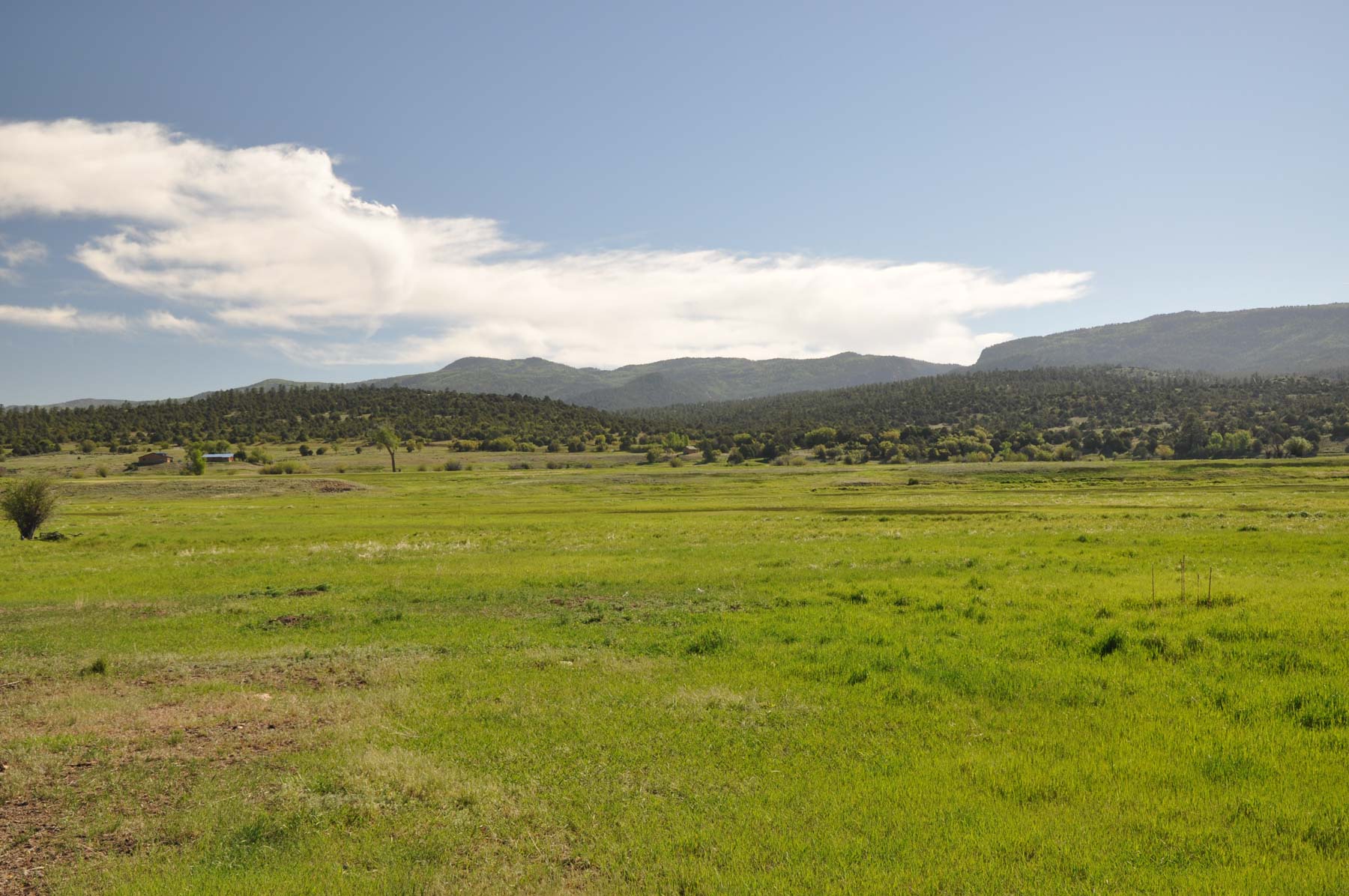 Canones Creek Ranch property picture 65 of 112