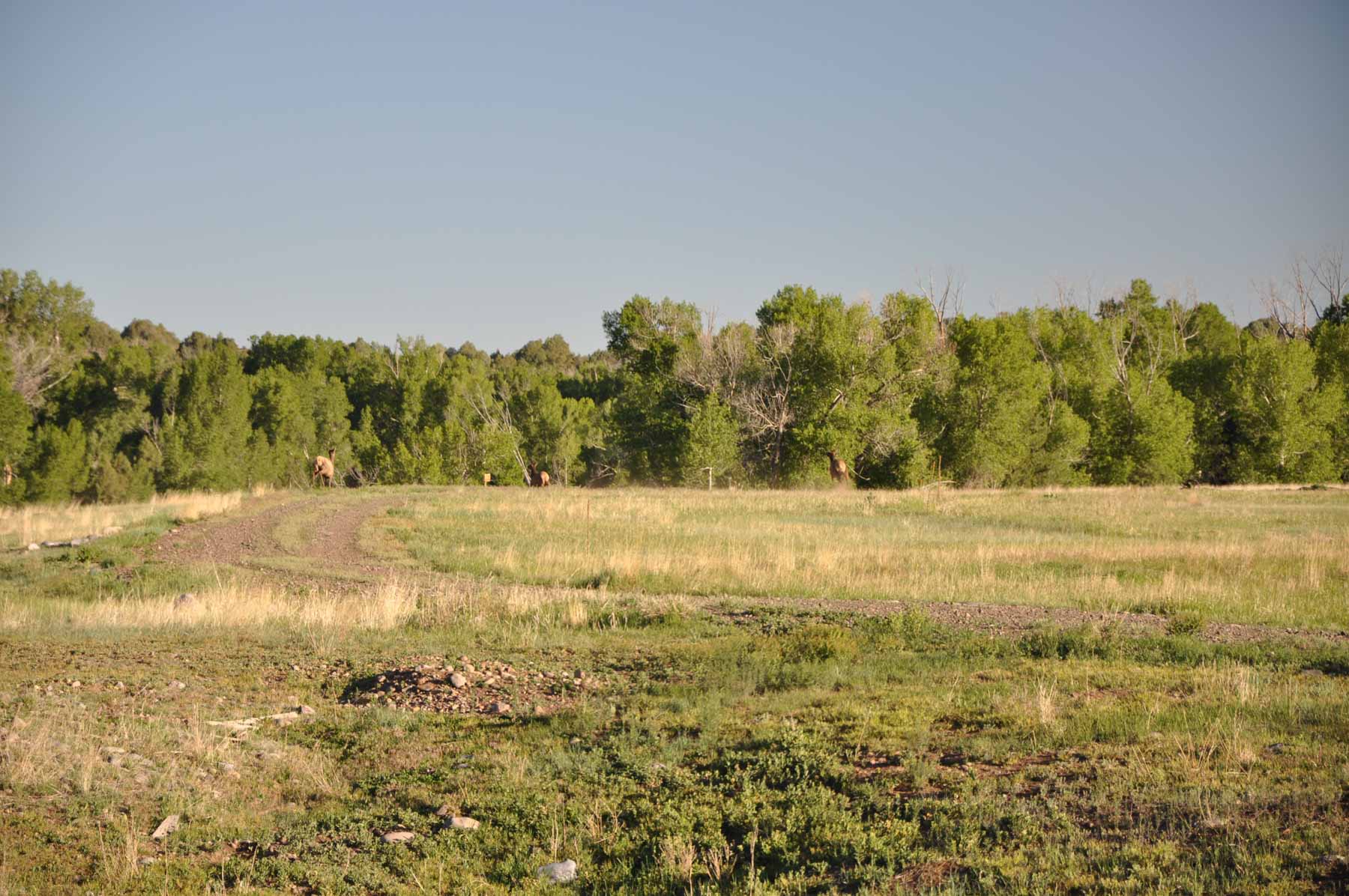 Canones Creek Ranch property picture 35 of 112