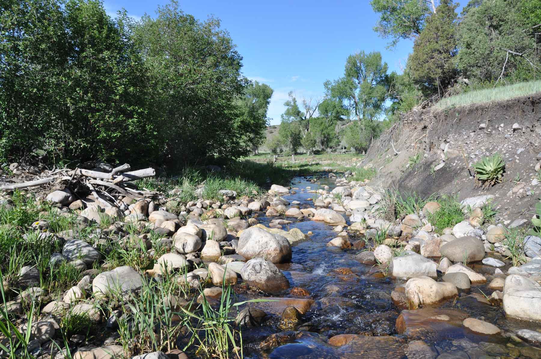 Canones Creek Ranch property picture 54 of 112