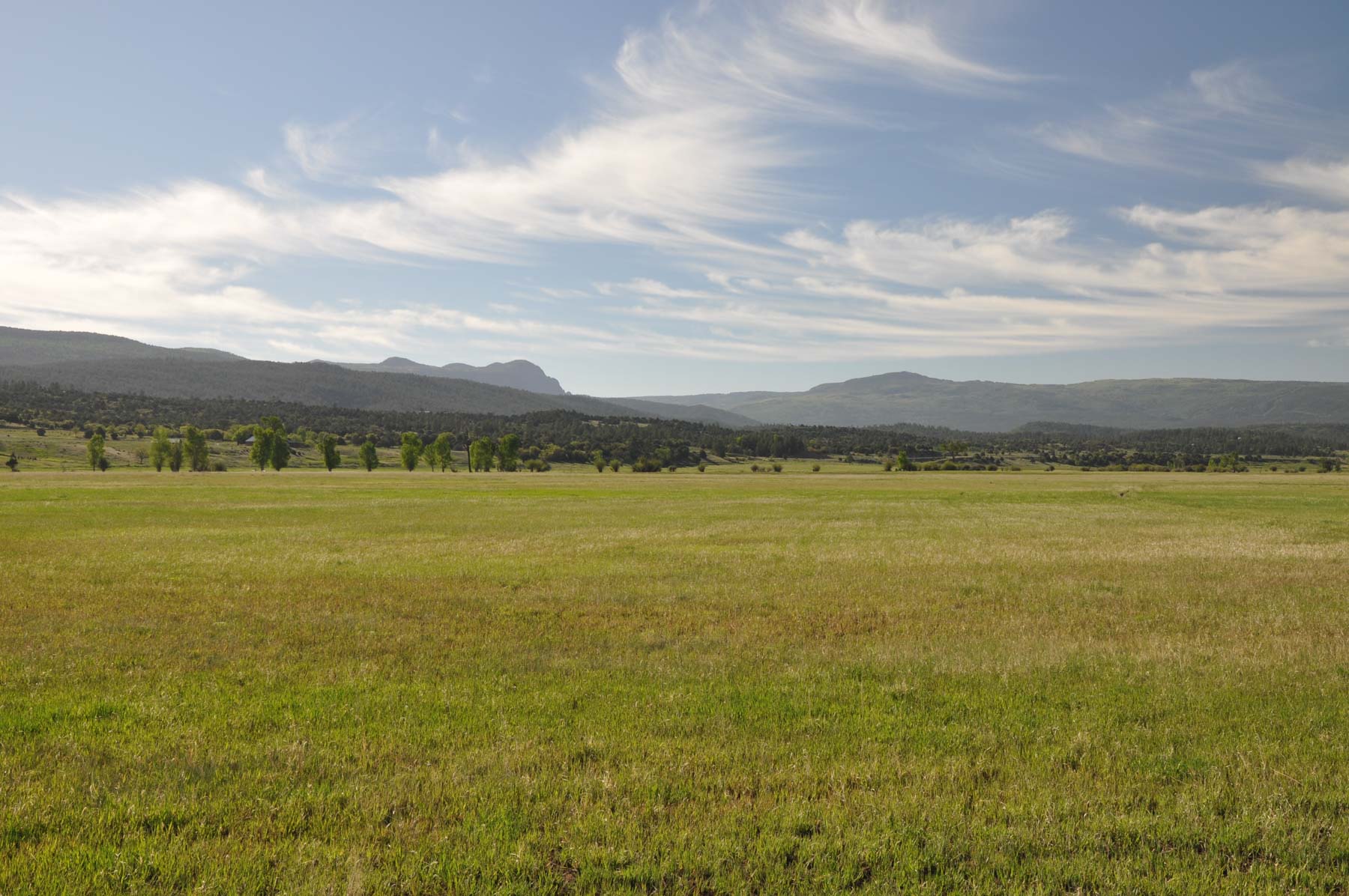 Canones Creek Ranch property picture 55 of 112