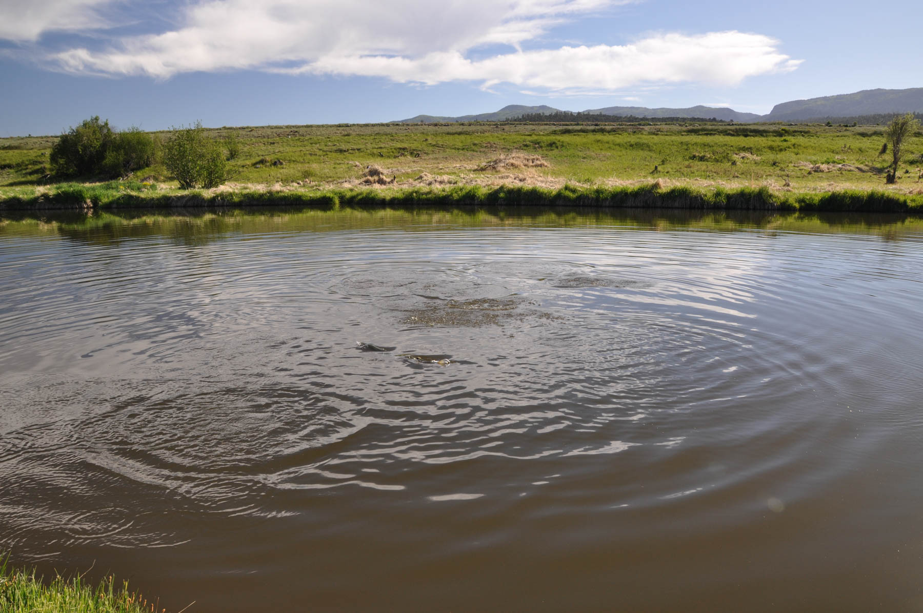 Canones Creek Ranch property picture 62 of 112